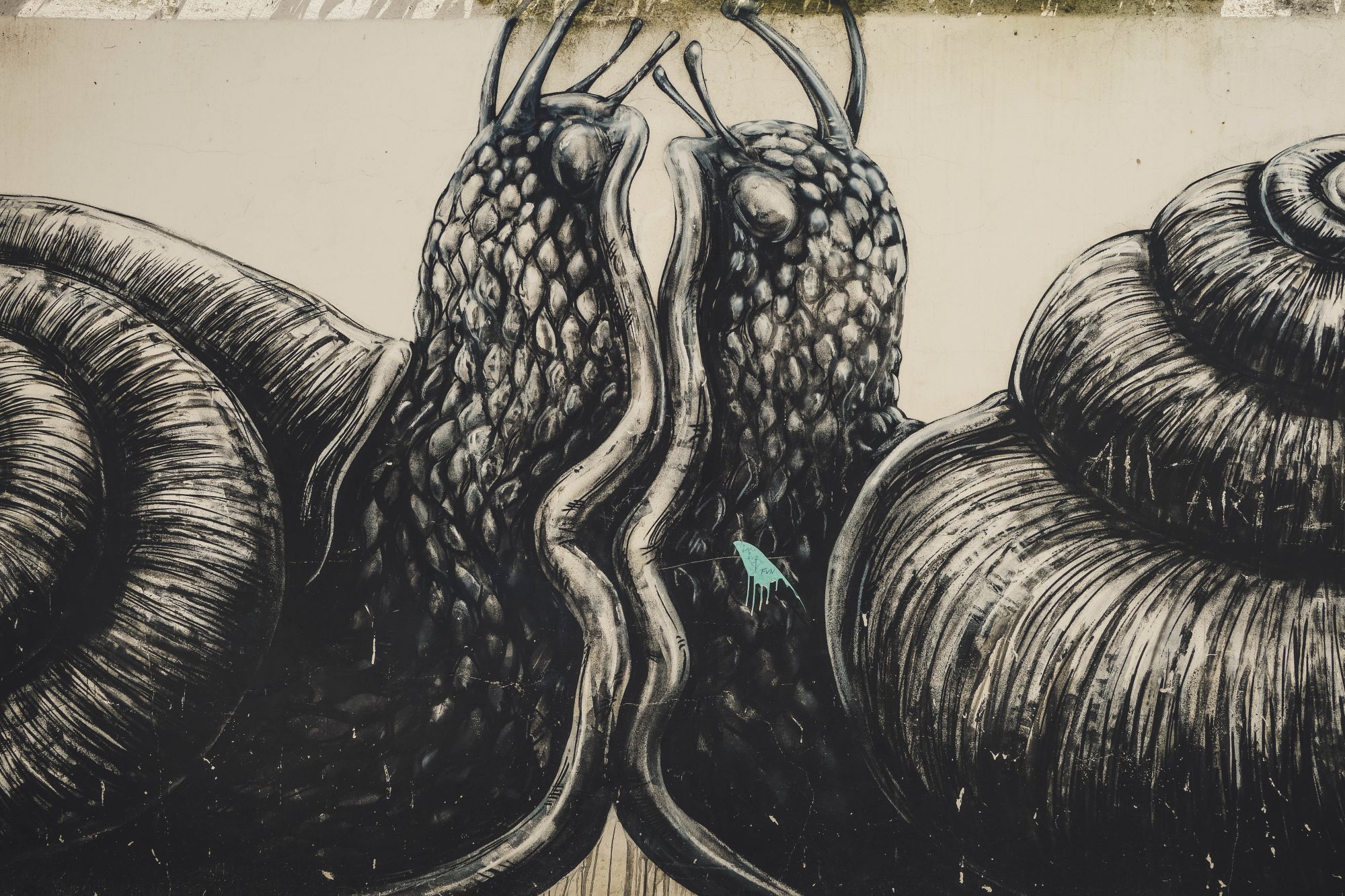 Escargots Amoureux - Lagos, Portugal