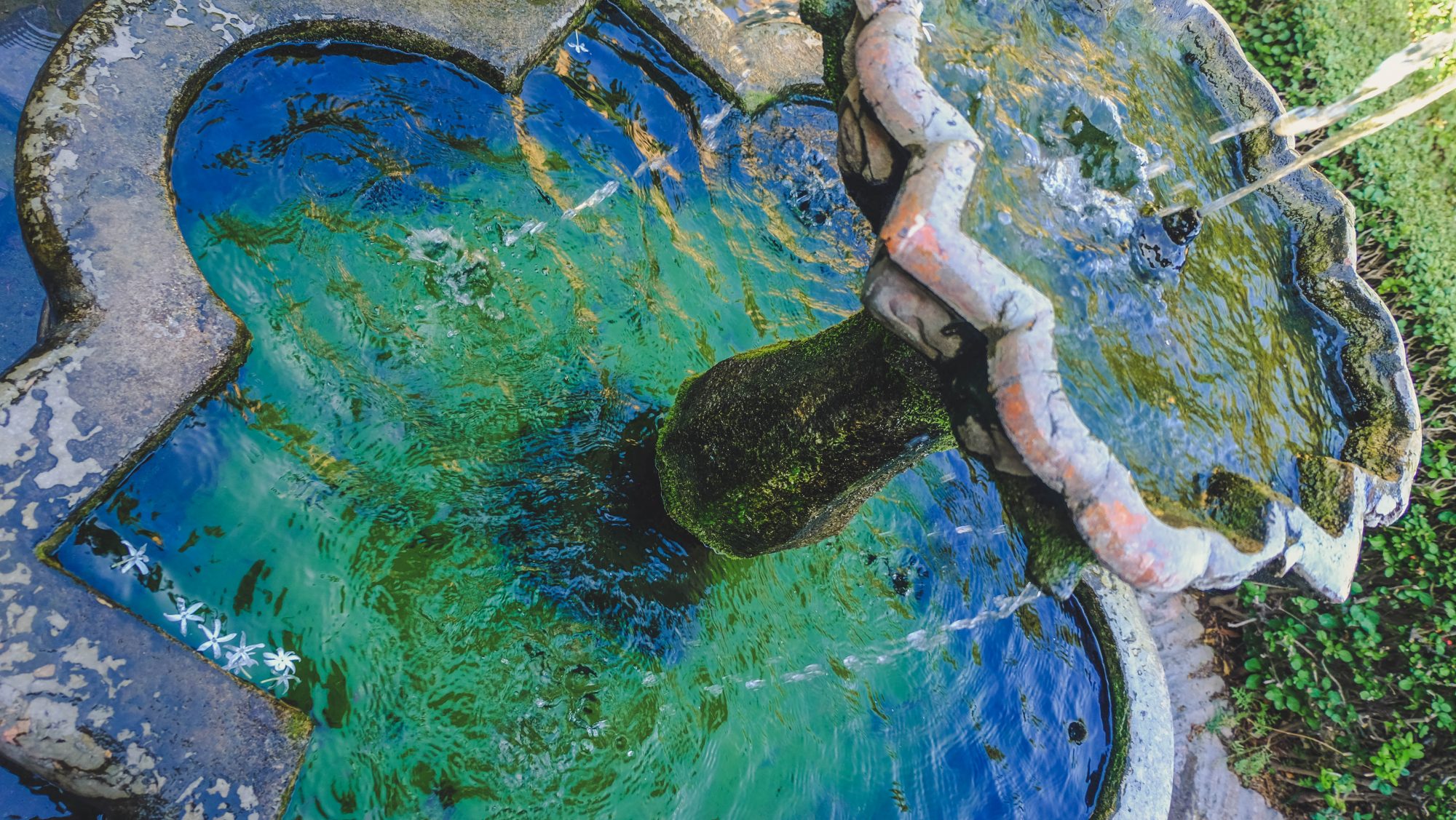 Vert ou bleu ? - Malaga, Espagne