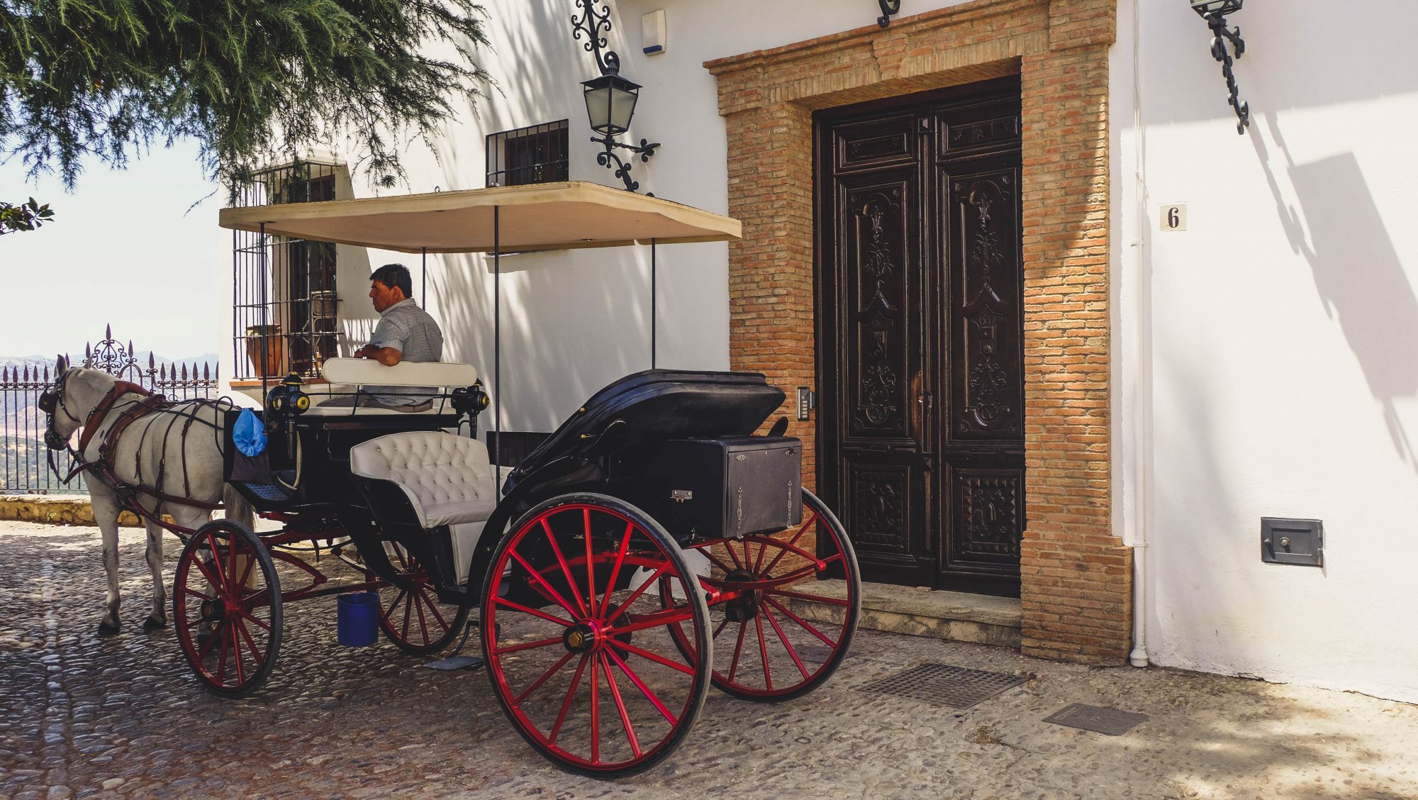 Calèche - Ronda, Espagne