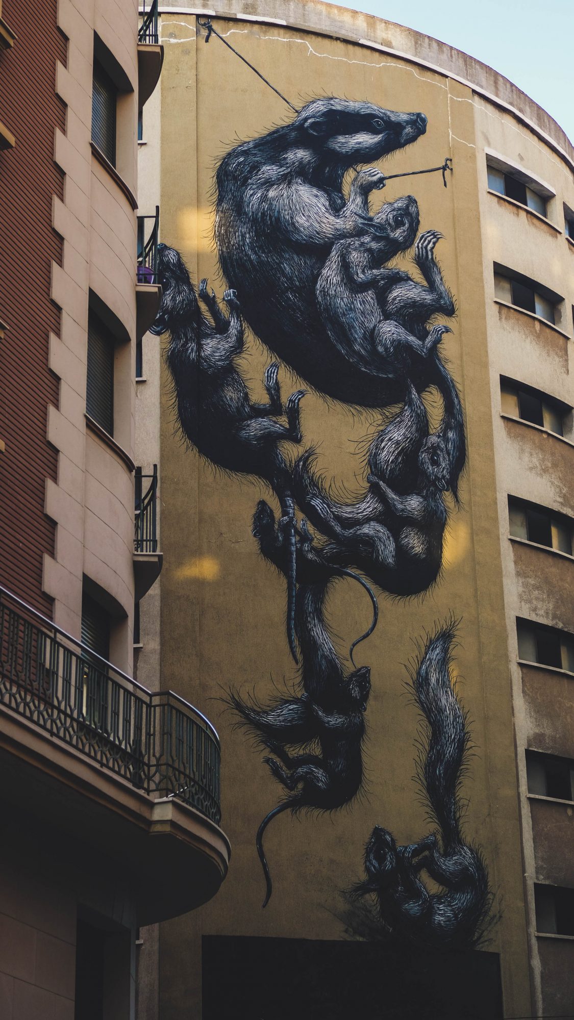 Climbing Rats - Malaga, Espagne