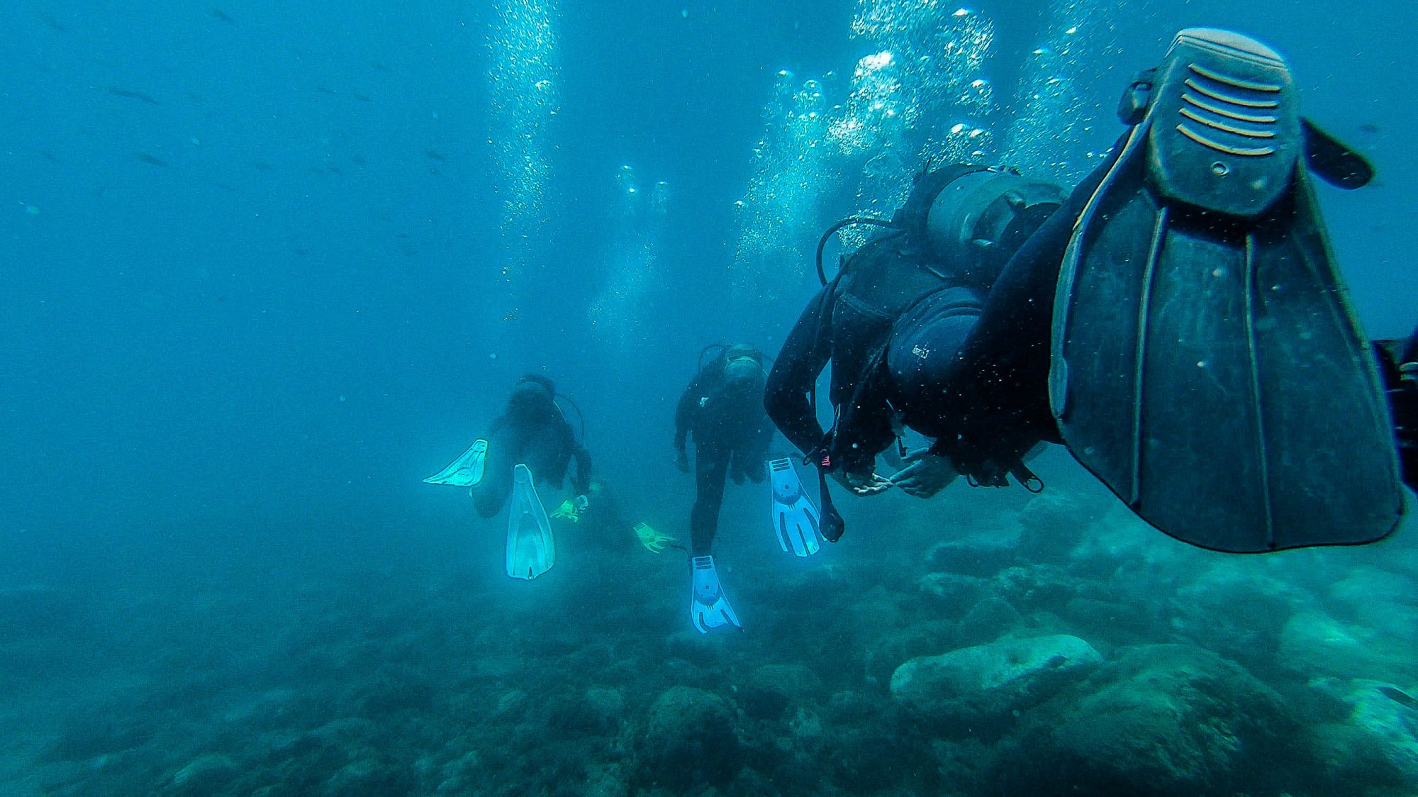 Cortège sous marin - Marina del Este, La Herradura, Espagne