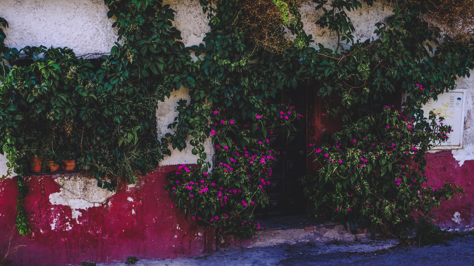 Détail de rues dans le quartier Sacromonte à Grenade
