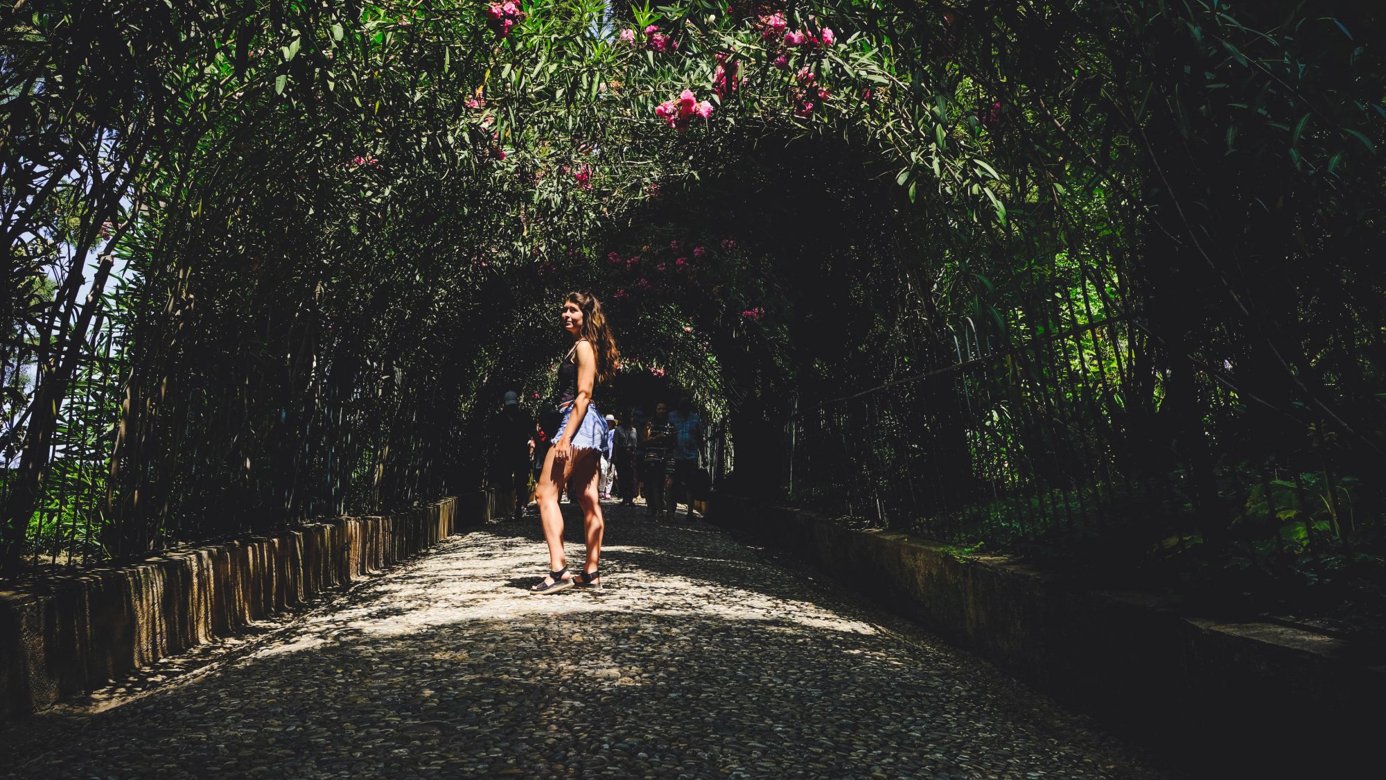Mimi sauvage dans les jardins et les fleurs de lauriers