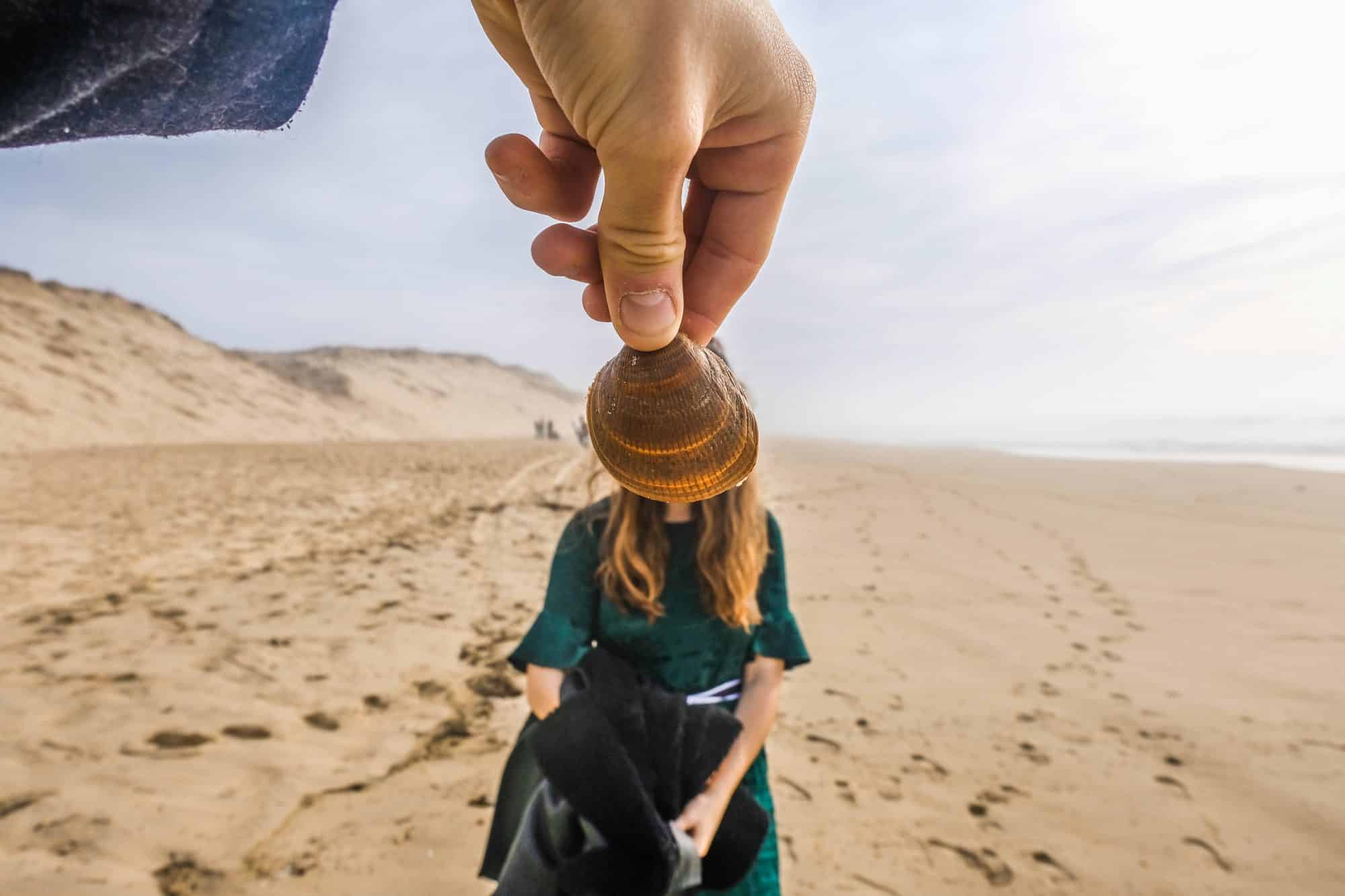 Coquillage au grand crohot