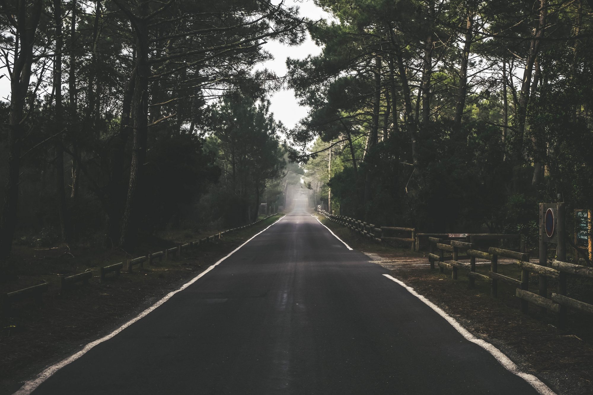 Les routes du Sud Ouest et des pins