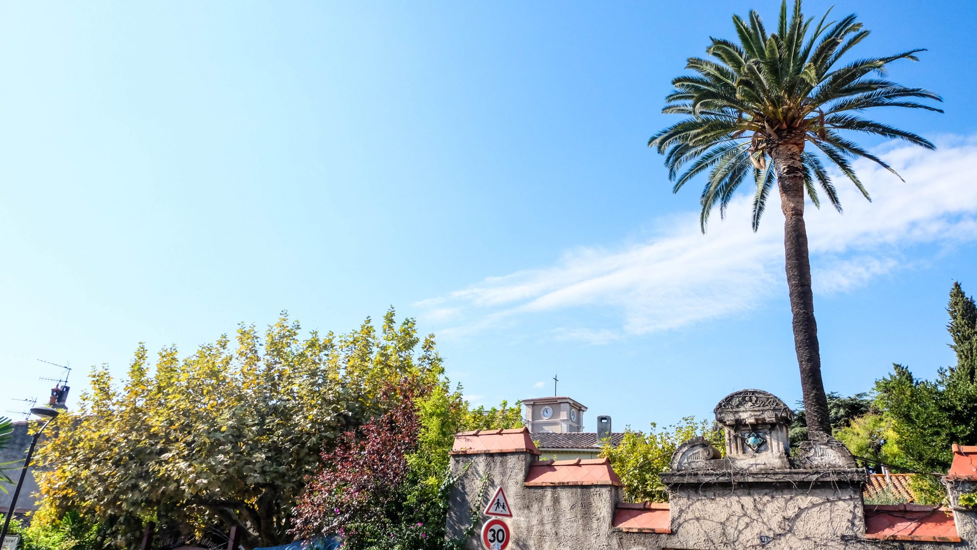 Pinède en arrivant vers la ville de Cassis