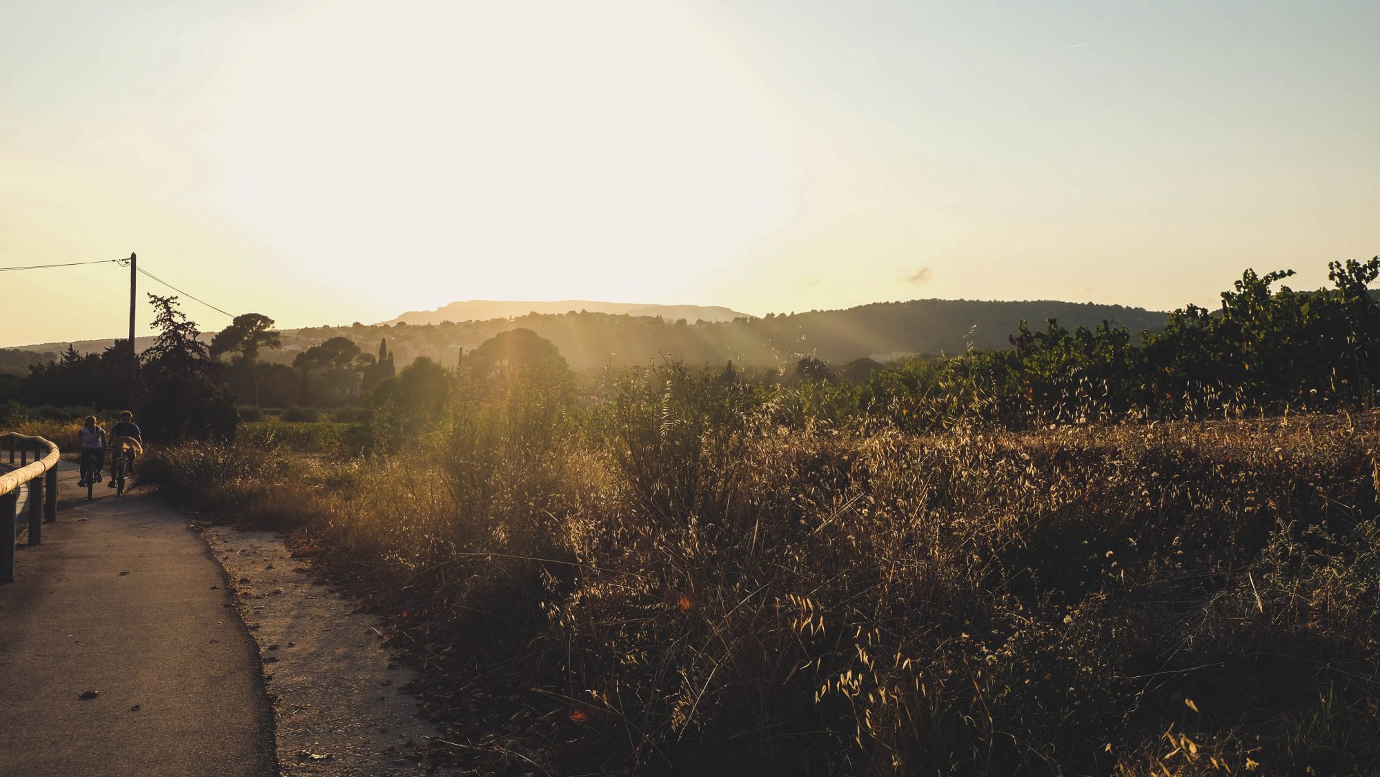 Coucher de soleil sur les vignes de Cassis
