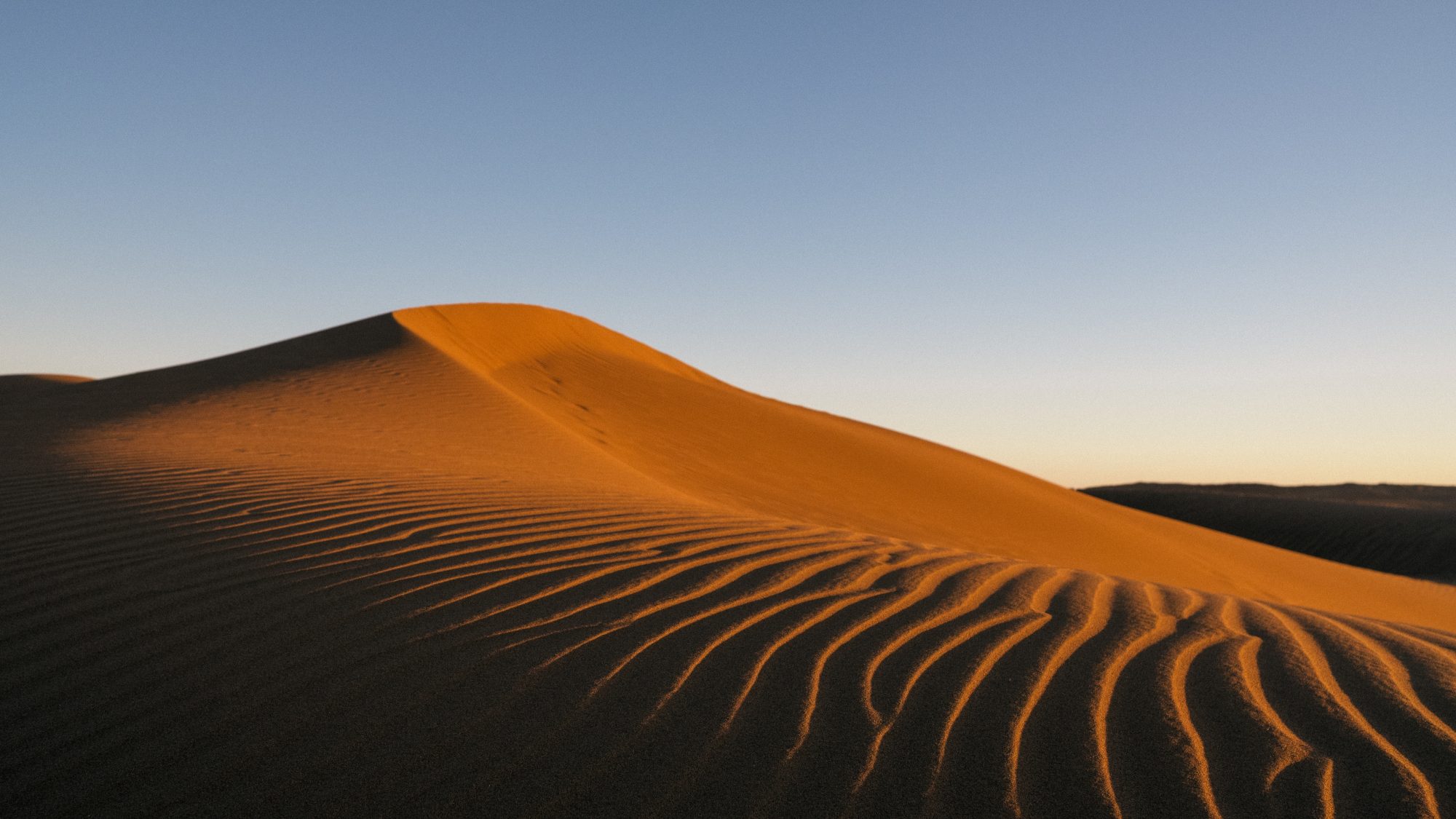 Désert de M'Hamid : Dunes