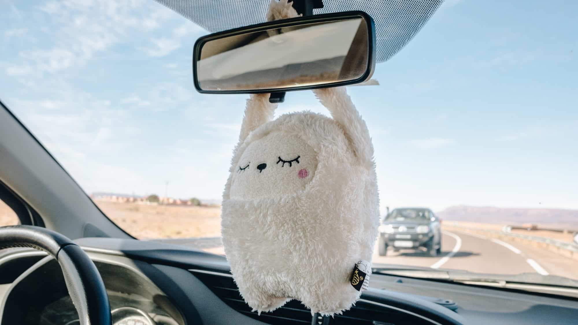 Un Paresseux Porte Bonheur