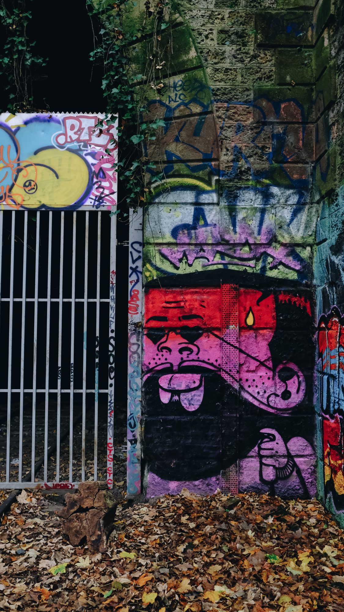 Street Art - Petite Ceinture