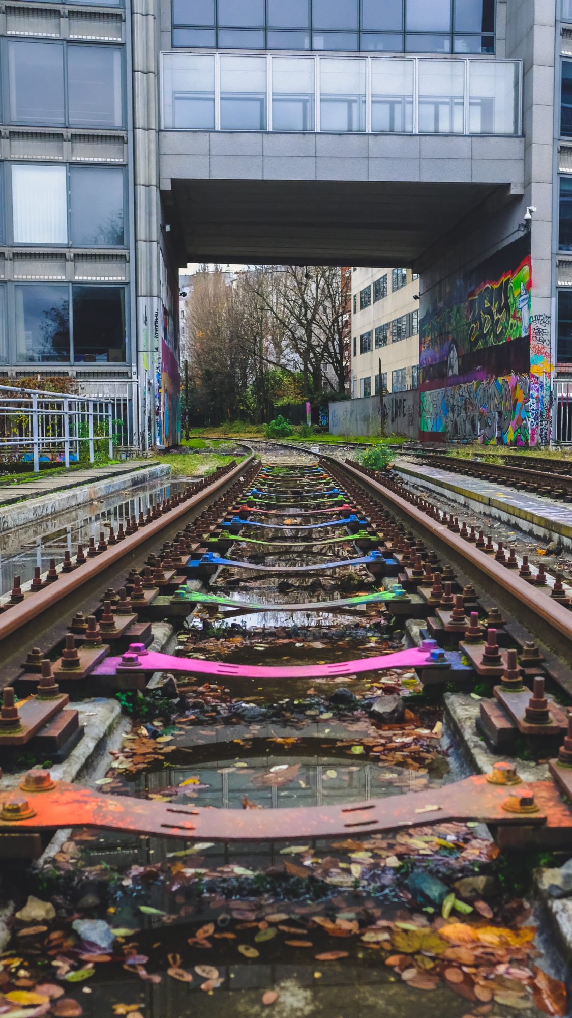 Rails colorés sur la Petite Ceinture, Paris