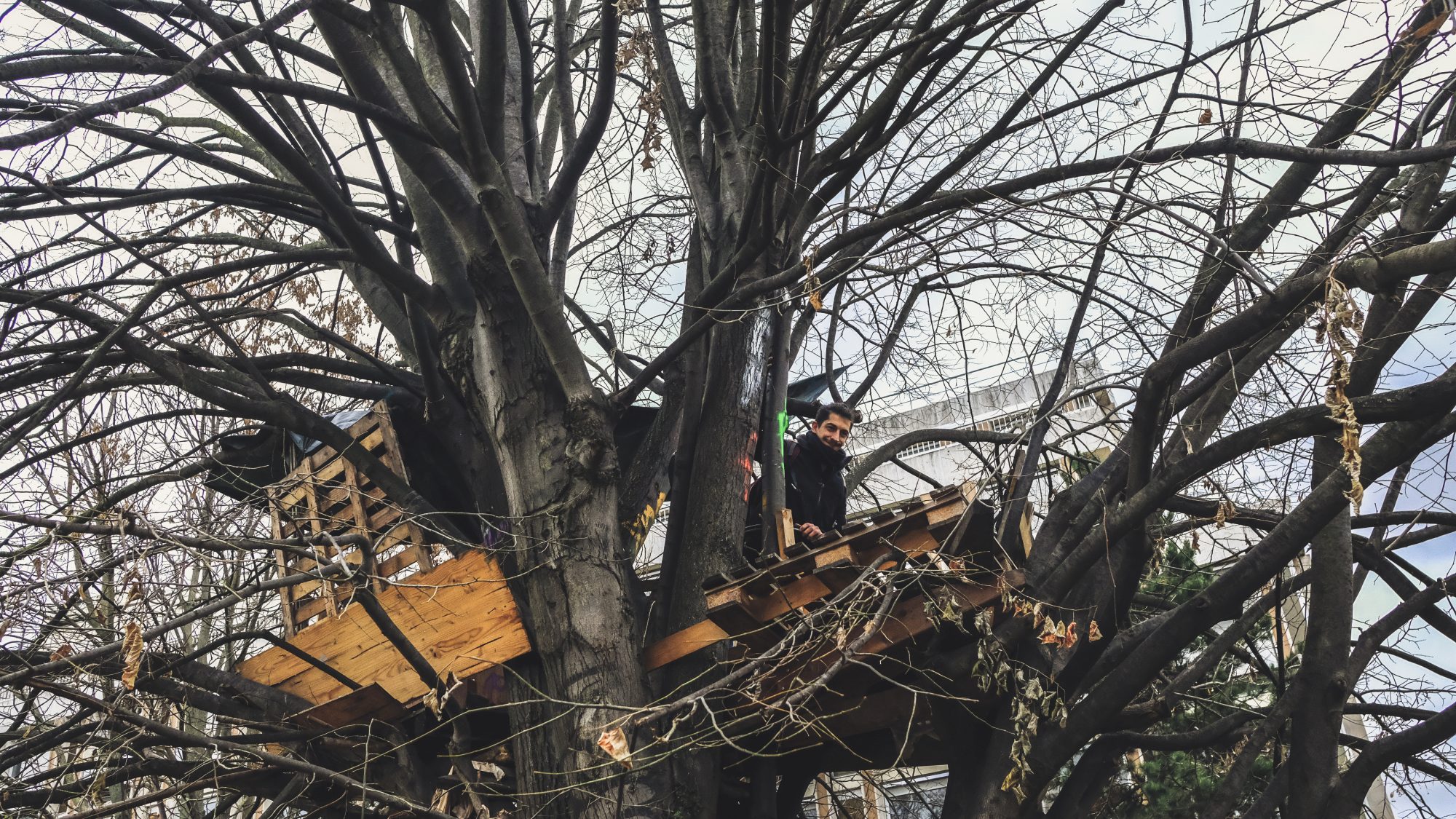 Cabane, Petite Ceinture, Paris