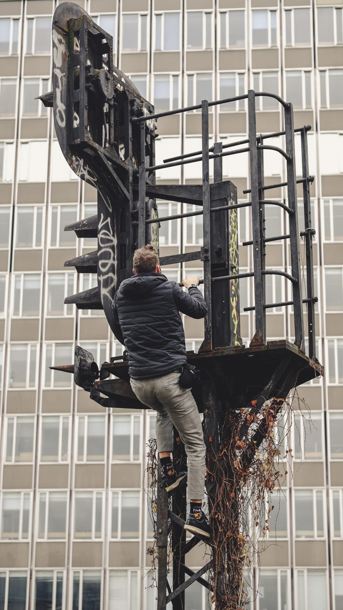 Un paresseux curieux en escalade