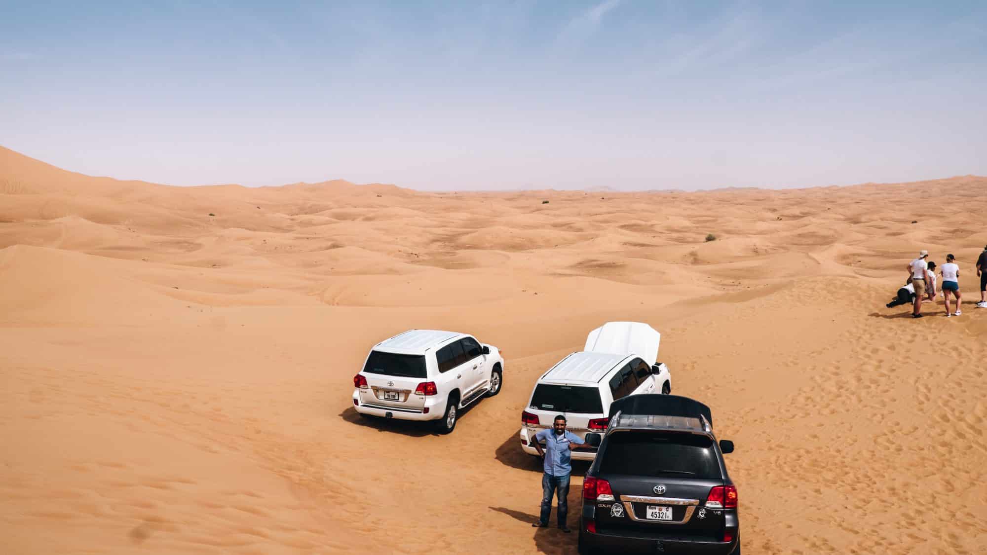 Nos destriers - Désert de Dubaï