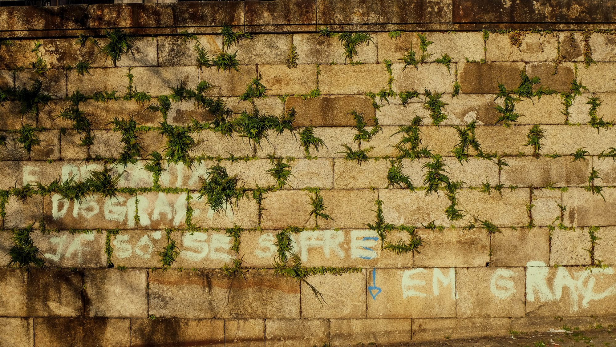 Visiter Porto : les bords de Douro