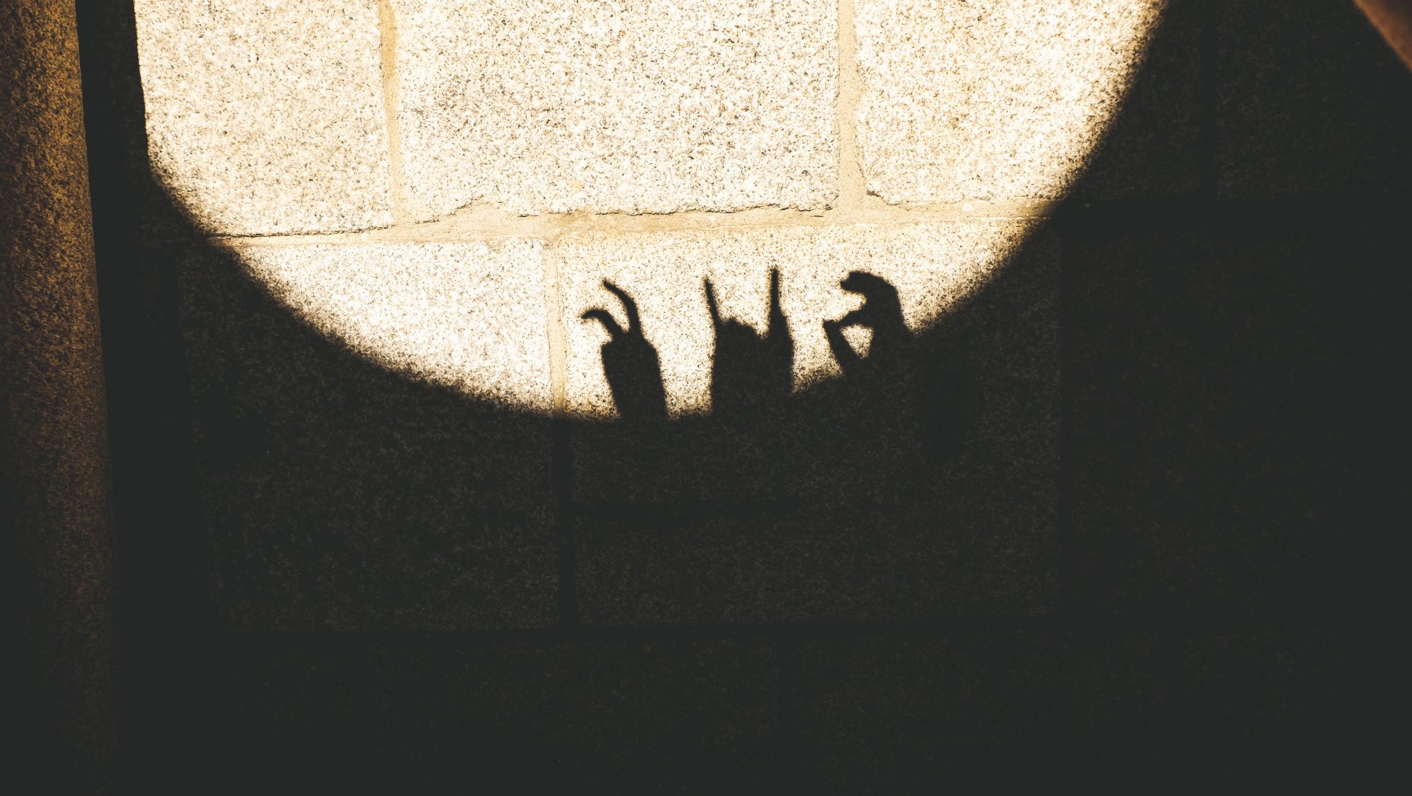 Ombres chinoises à la Cathédrale Sé