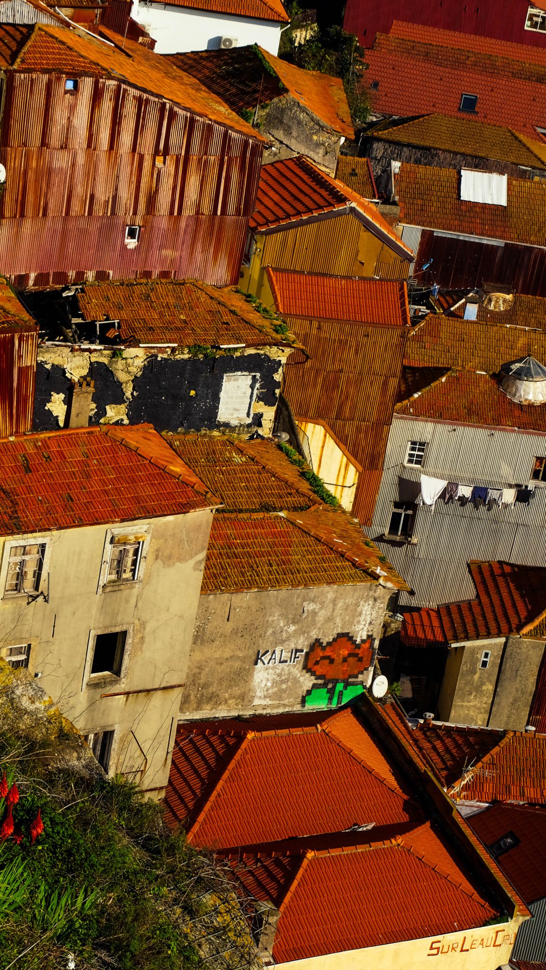 Street Art sur les toits de Porto