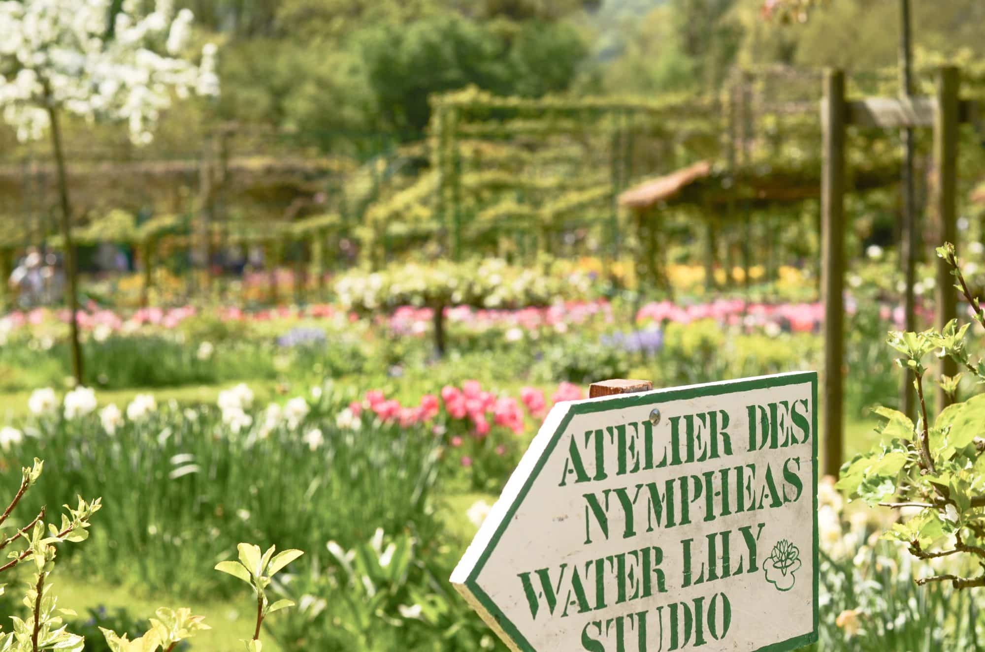 Atelier des Nympheas - Jardin de Monnet