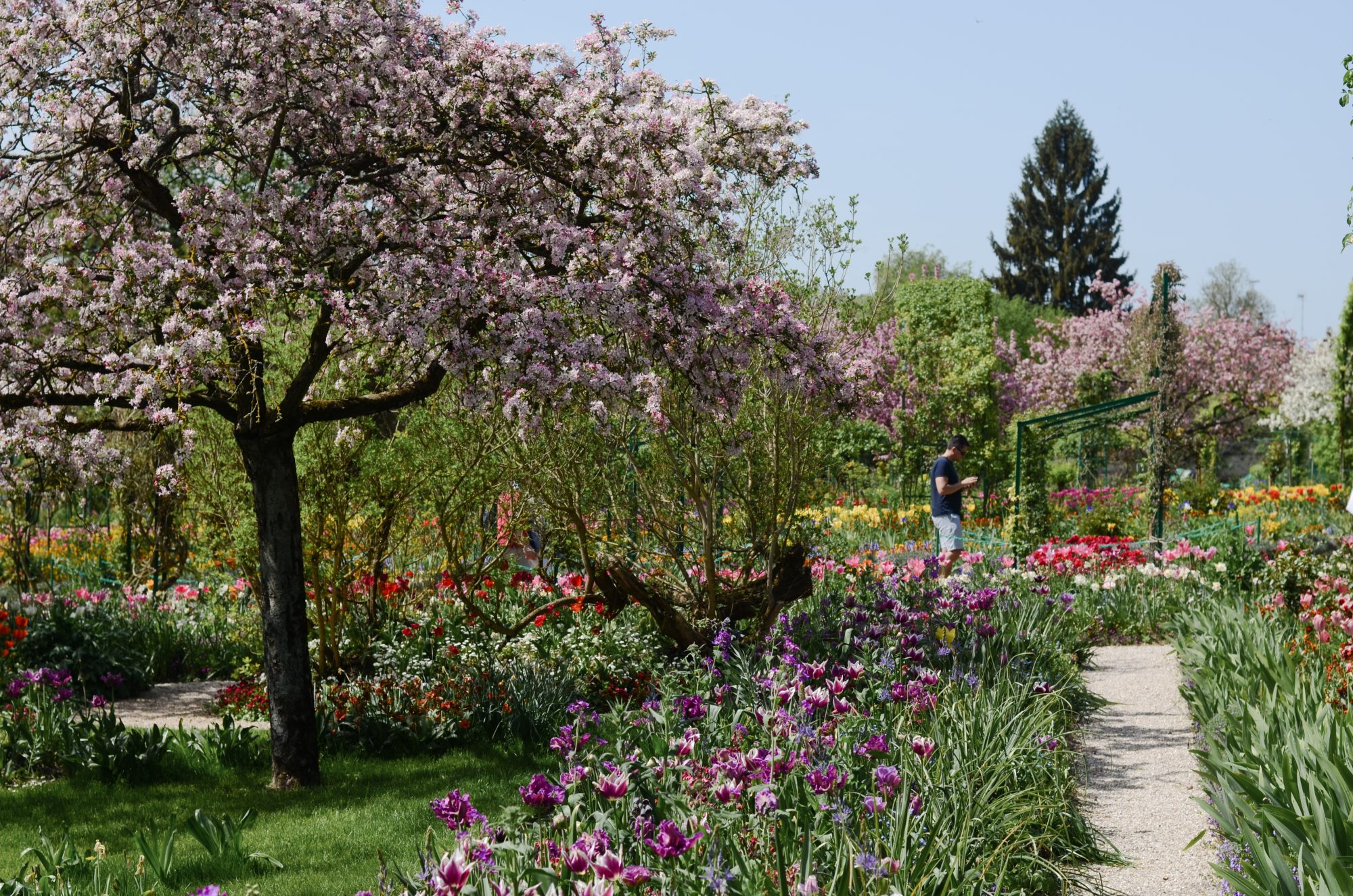 Promenade dans le jardin
