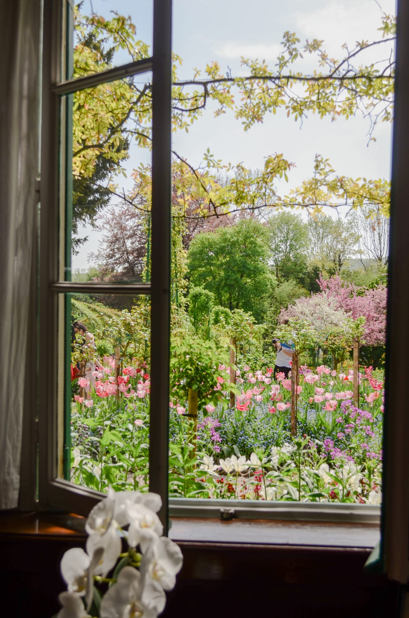 Vue sur les jardins de Monet