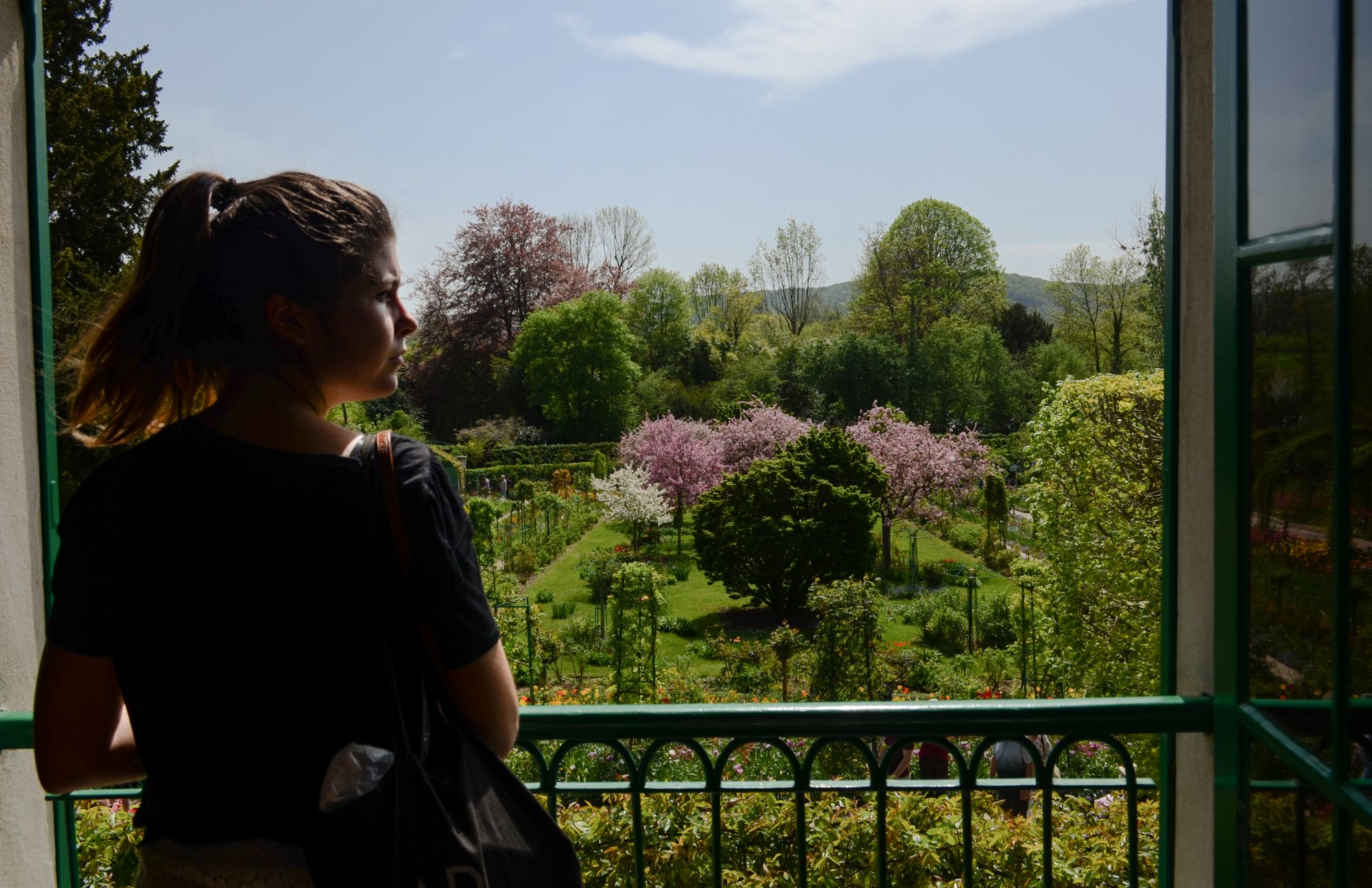 Un paresseux perché devant les jardins de Monet
