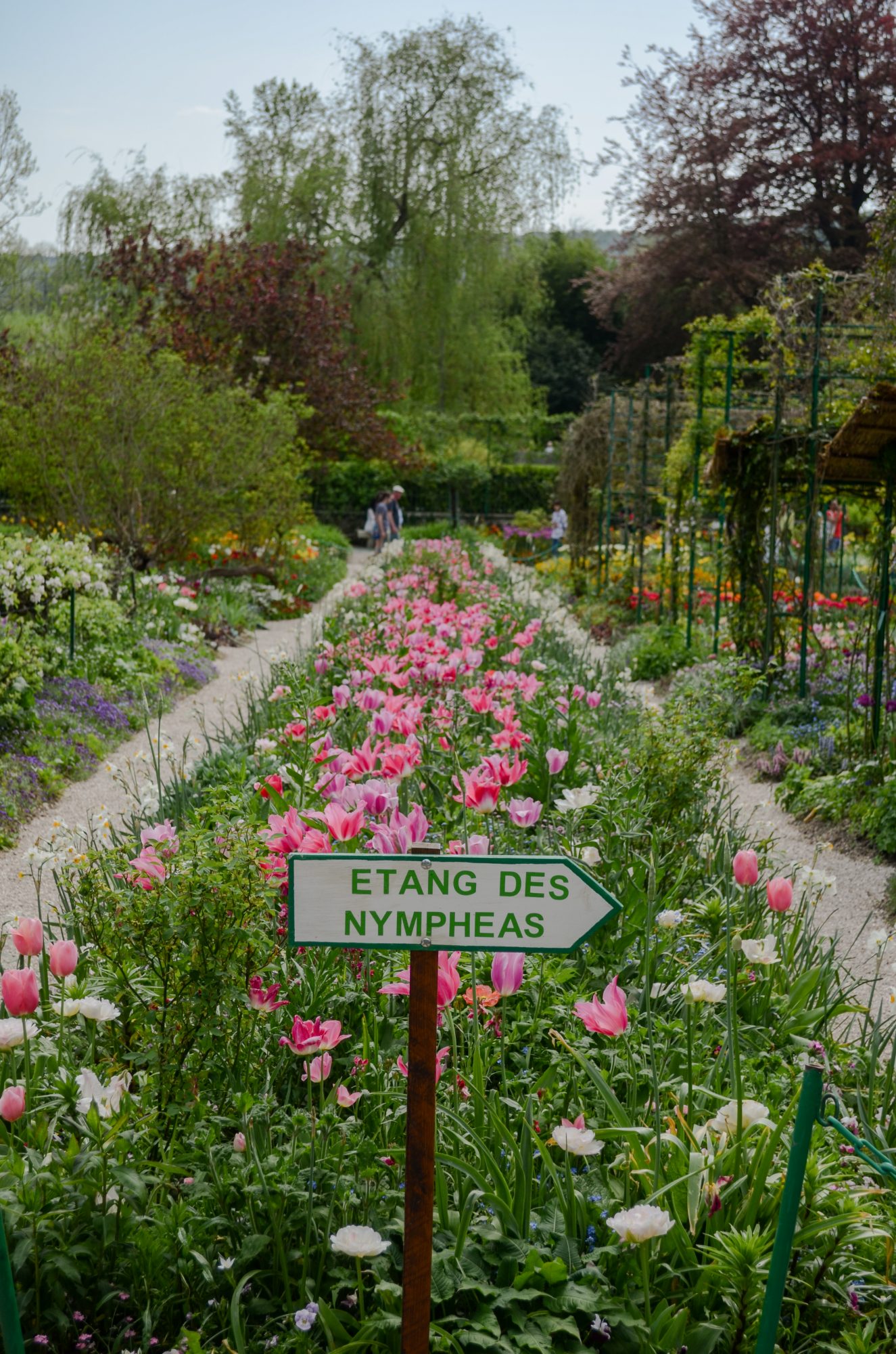Direction l'étang des Nympheas