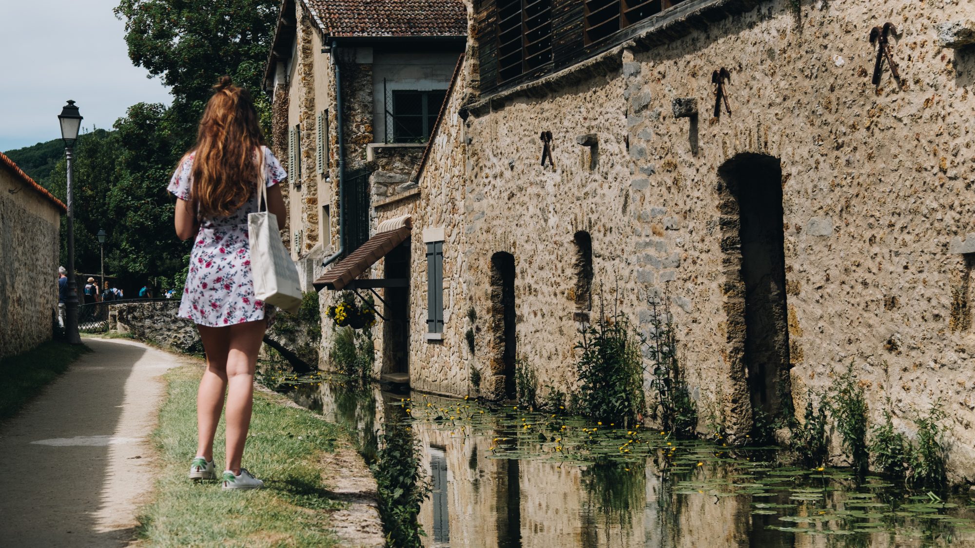 Paresseux dans son milieu naturel