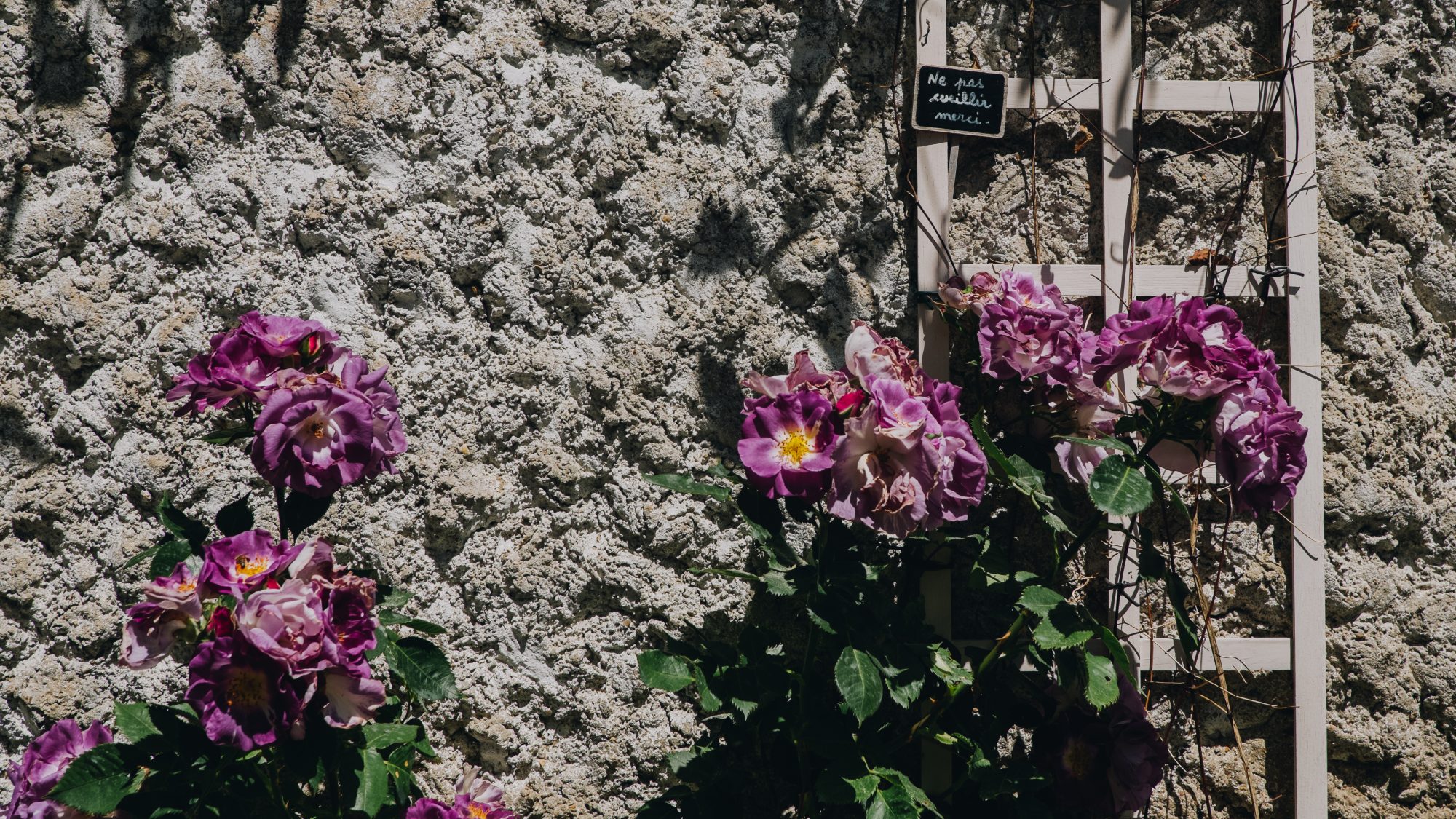 Promenade dans Chevreuse, village bucolique d'Ile de France