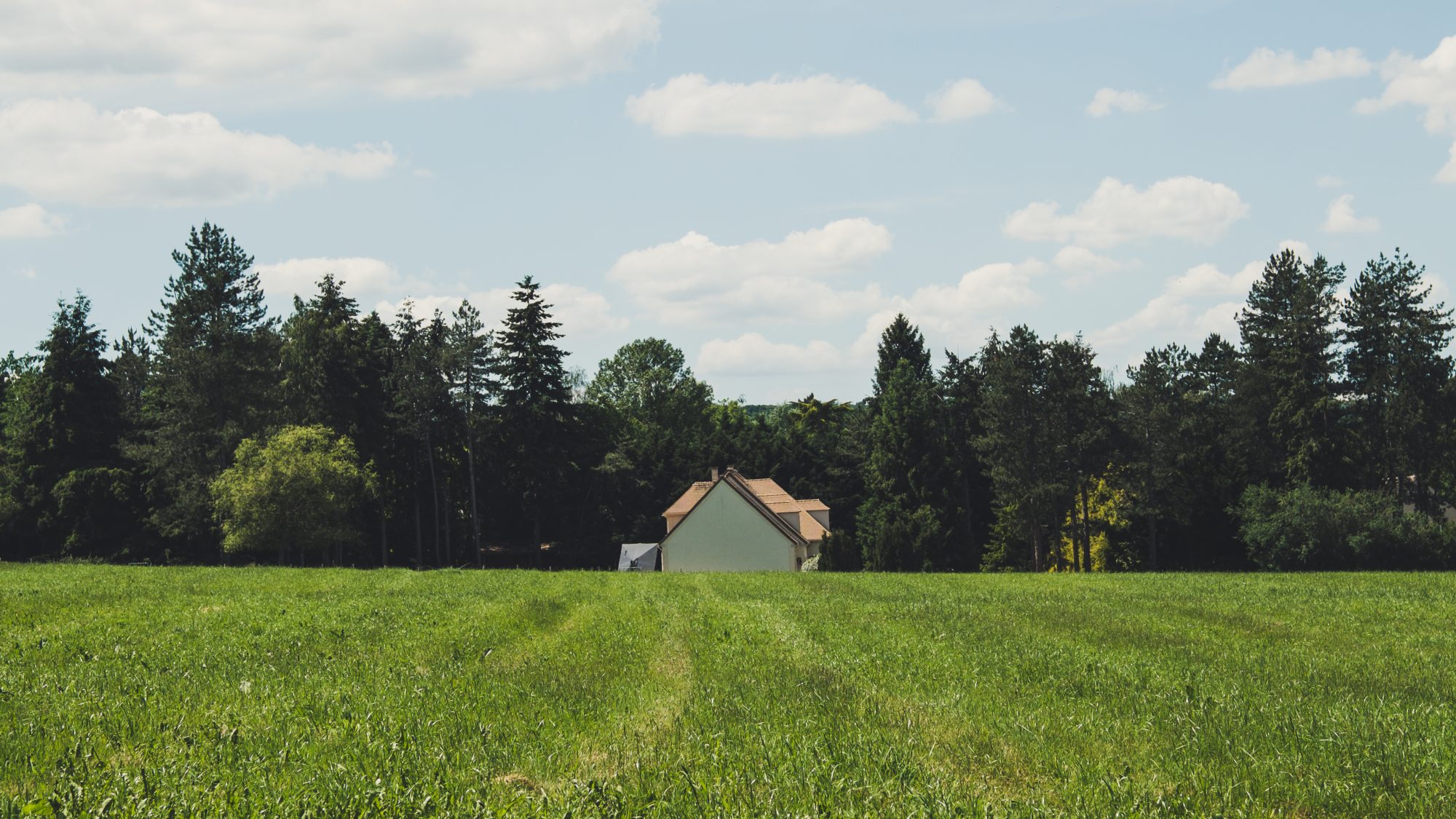 Landscape classique entre champs et forêt de cette sortie nature en Ile de France