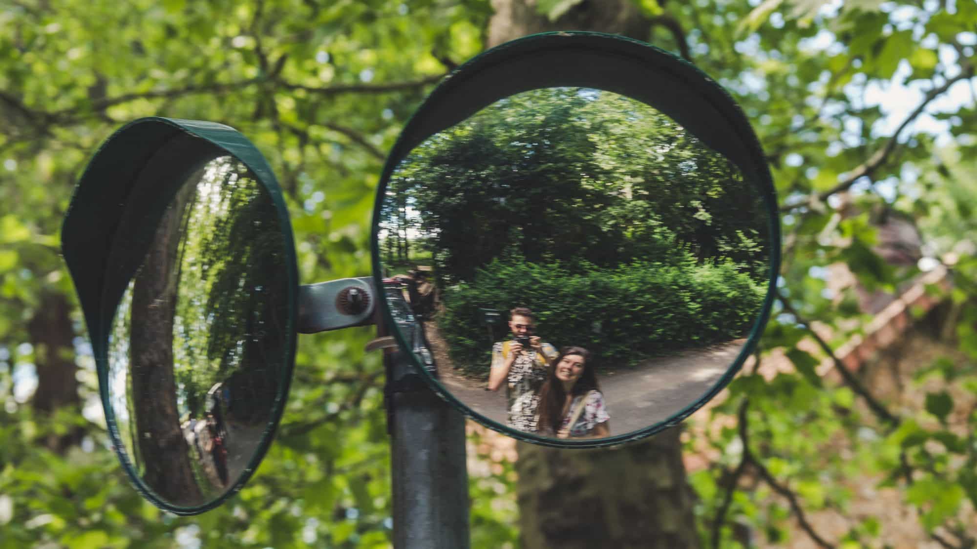 Les paresseux curieux en sortie nature en ile de France