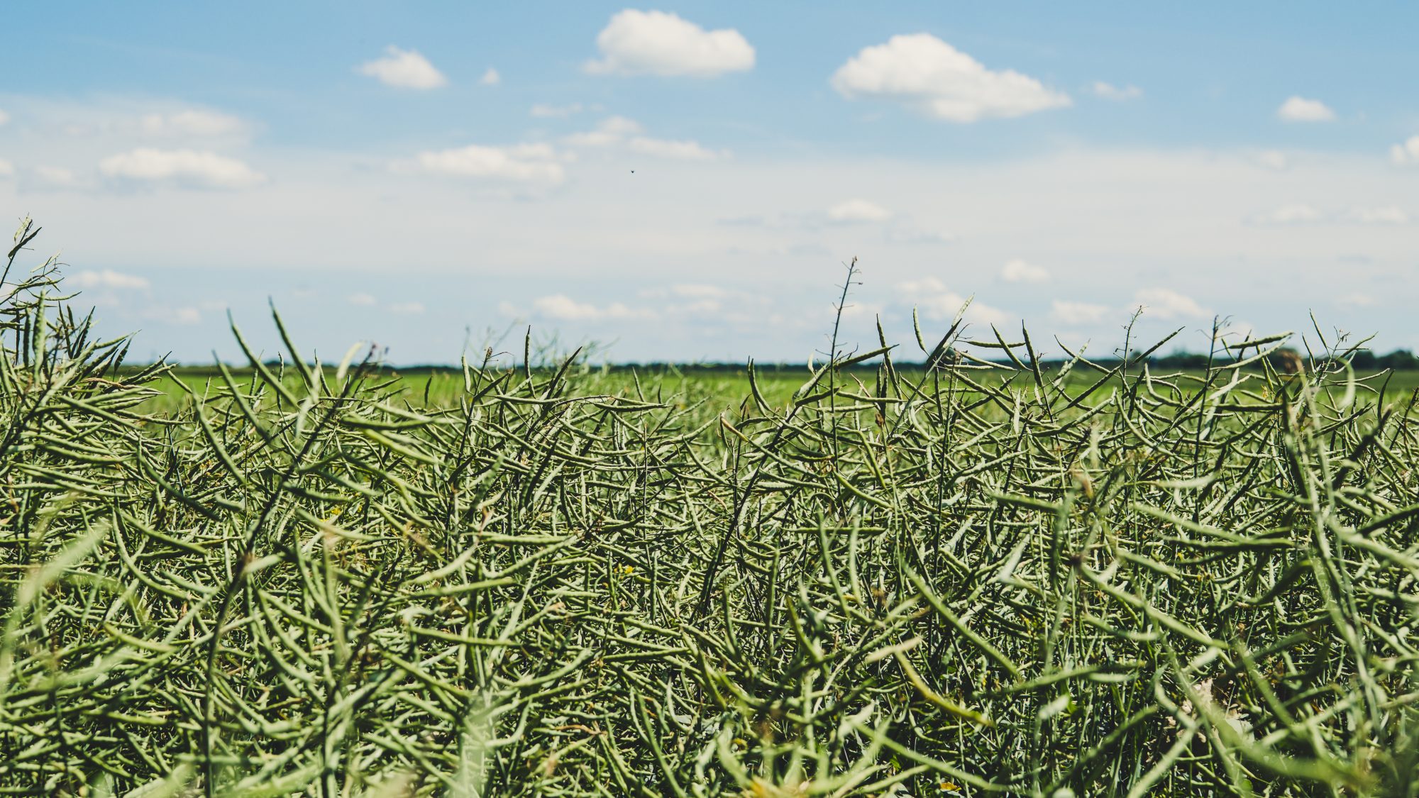 La nature en Ile de France