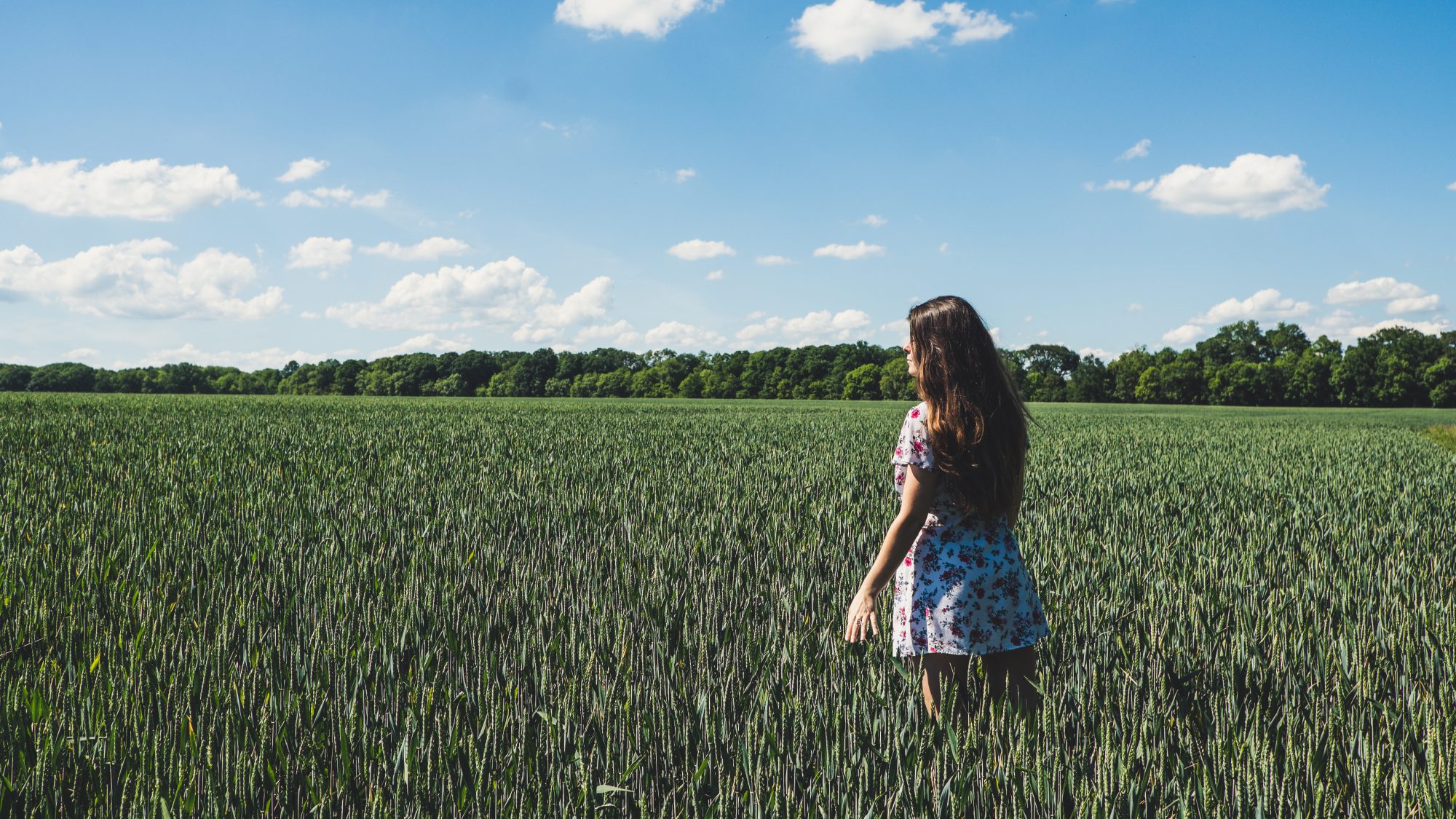 Robe fleurie dans les champs prêt du Château de Breteuil