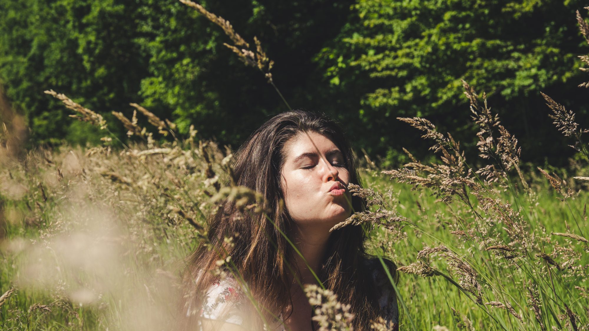 Portrait nature d'un paresseux