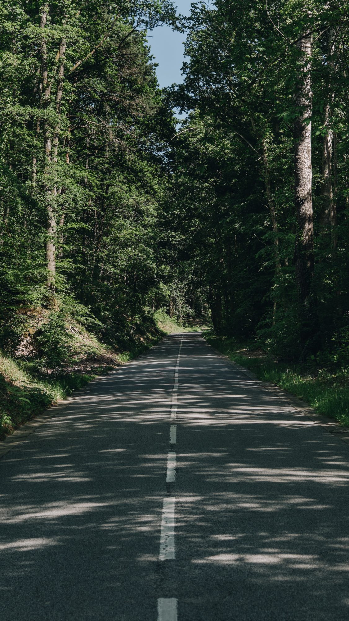 Route qui traverse la nature d'Ile de France