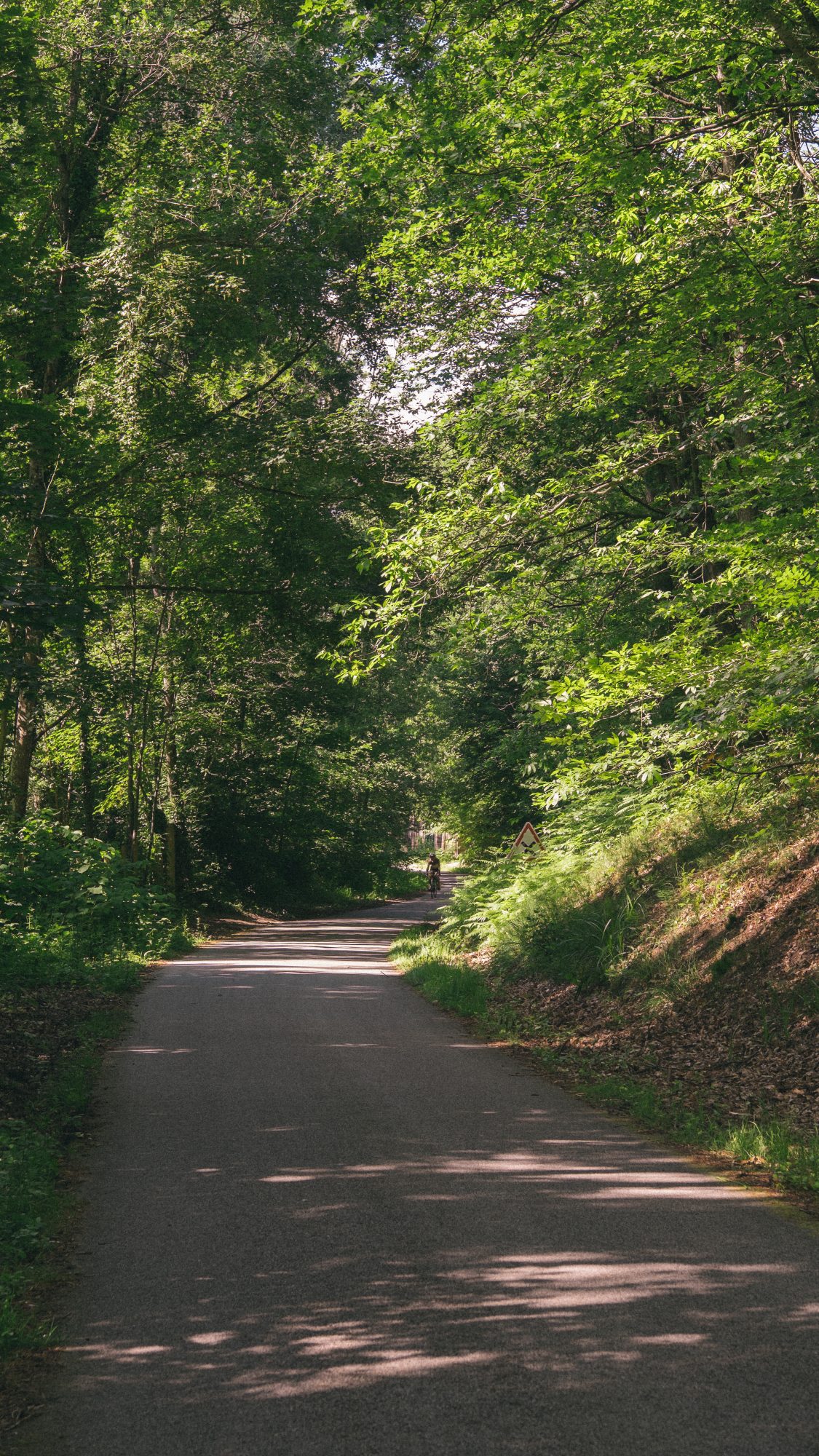 Sortie nature en Ile de France : La vallée de Chevreuse