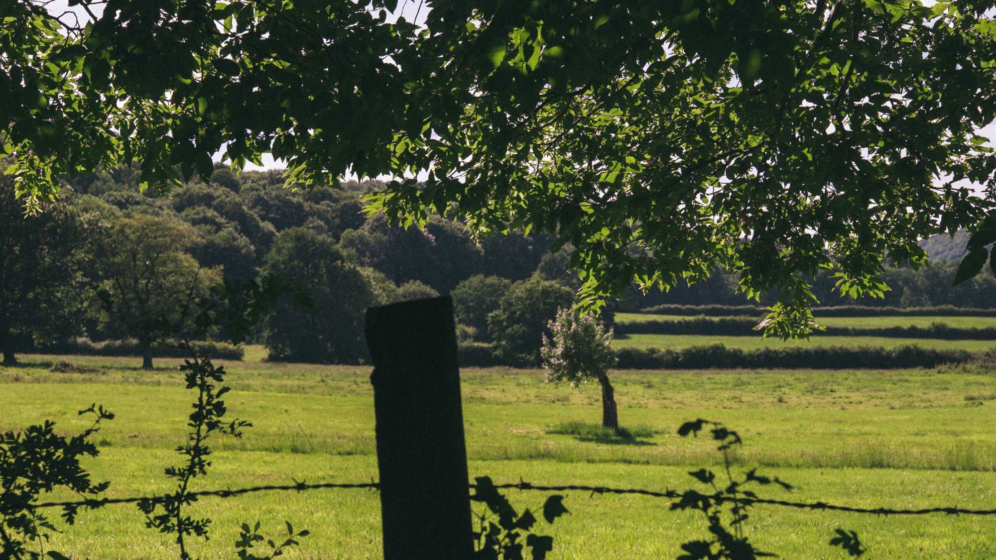 Champs de la Vallée de Chevreuse