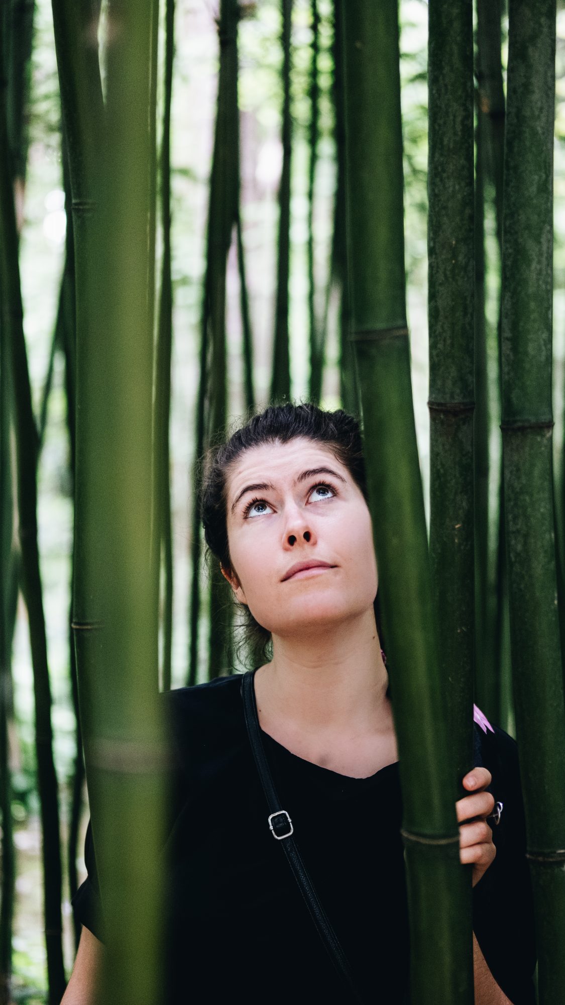 Forêt de bambous - Jardin Agronomie Tropicale