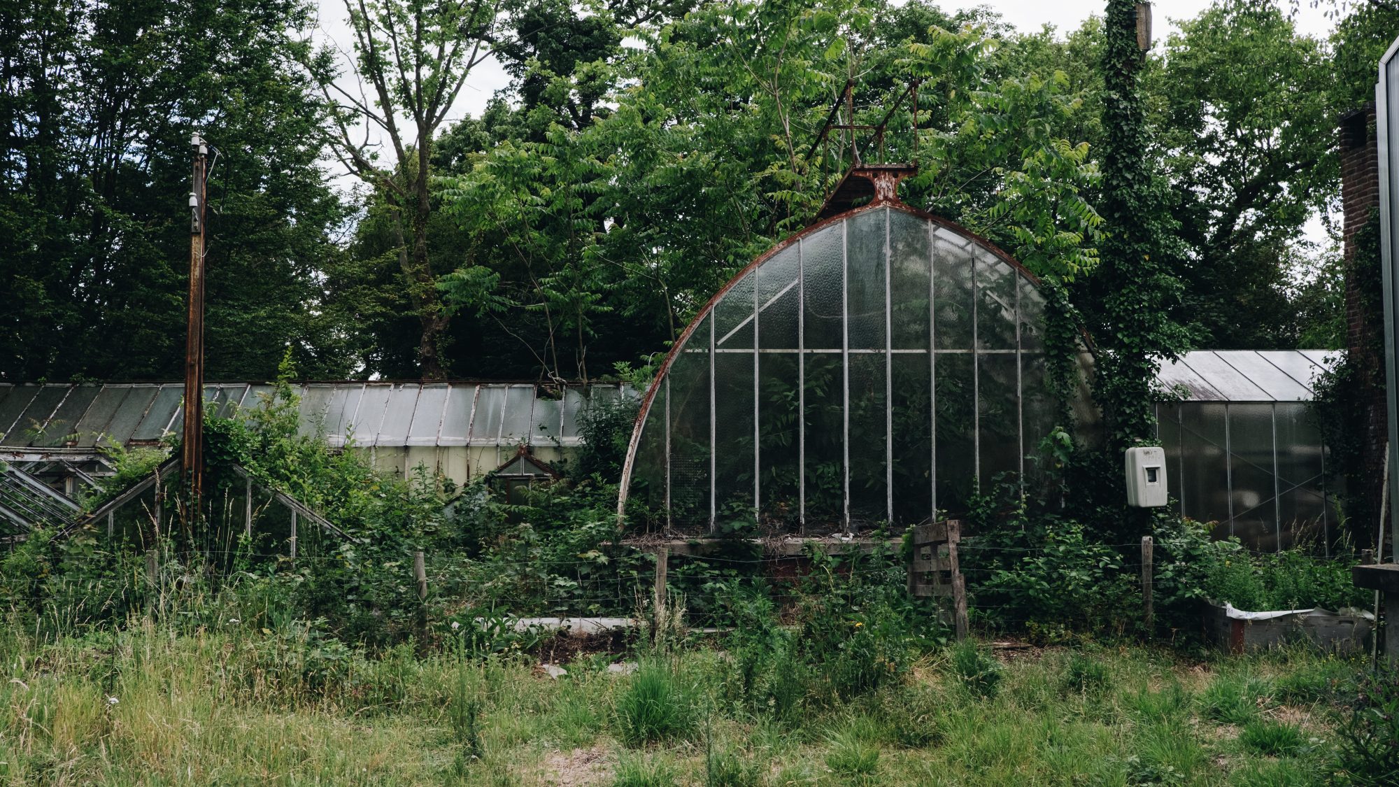Serres - Jardin d'Agronomie Tropicale