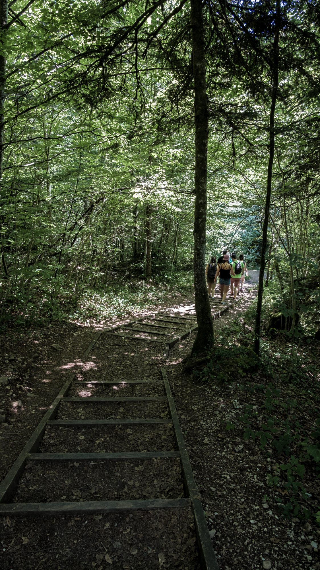 En traversant la forêt