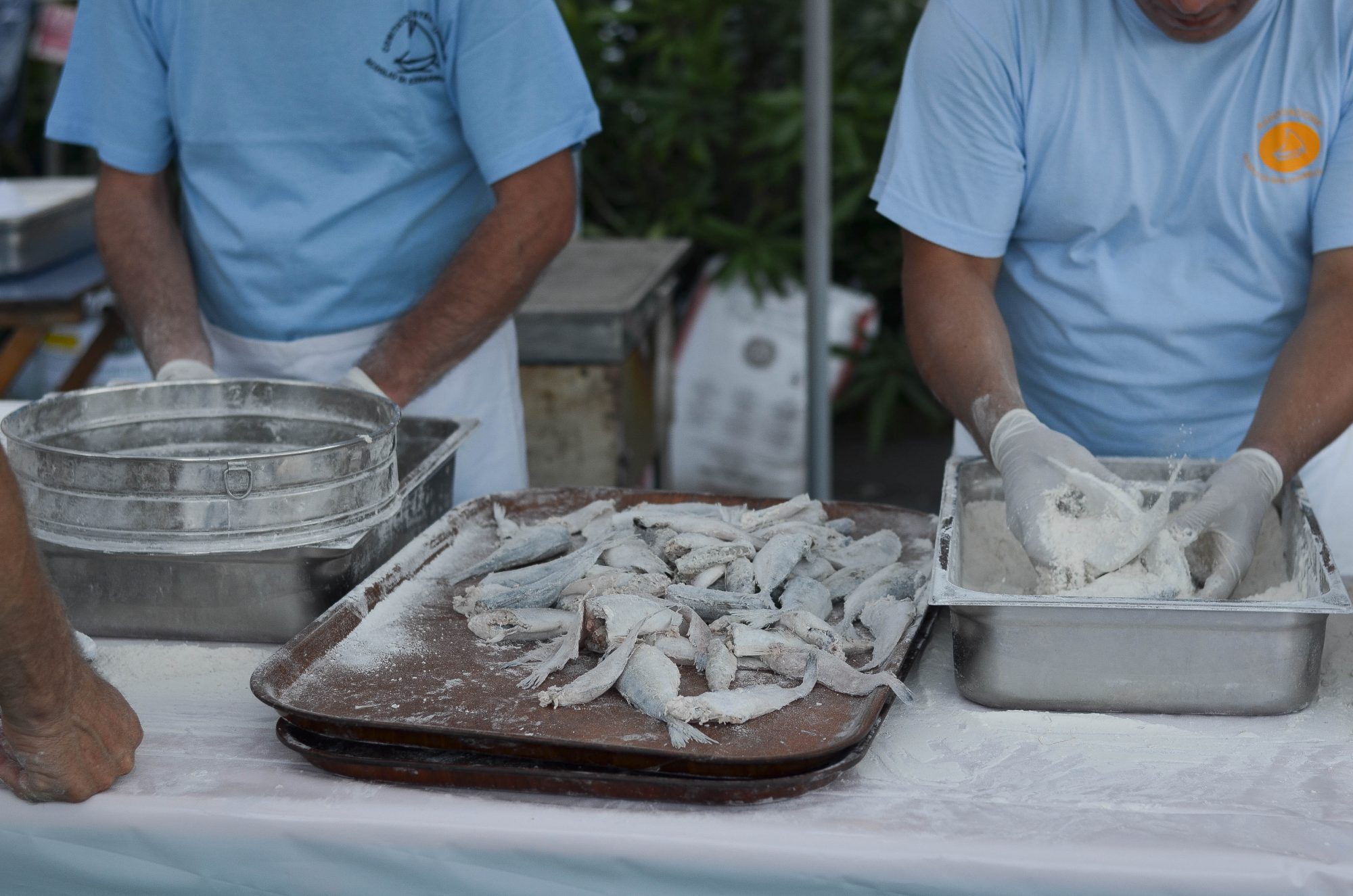 richesse des cinque terre : les poissons