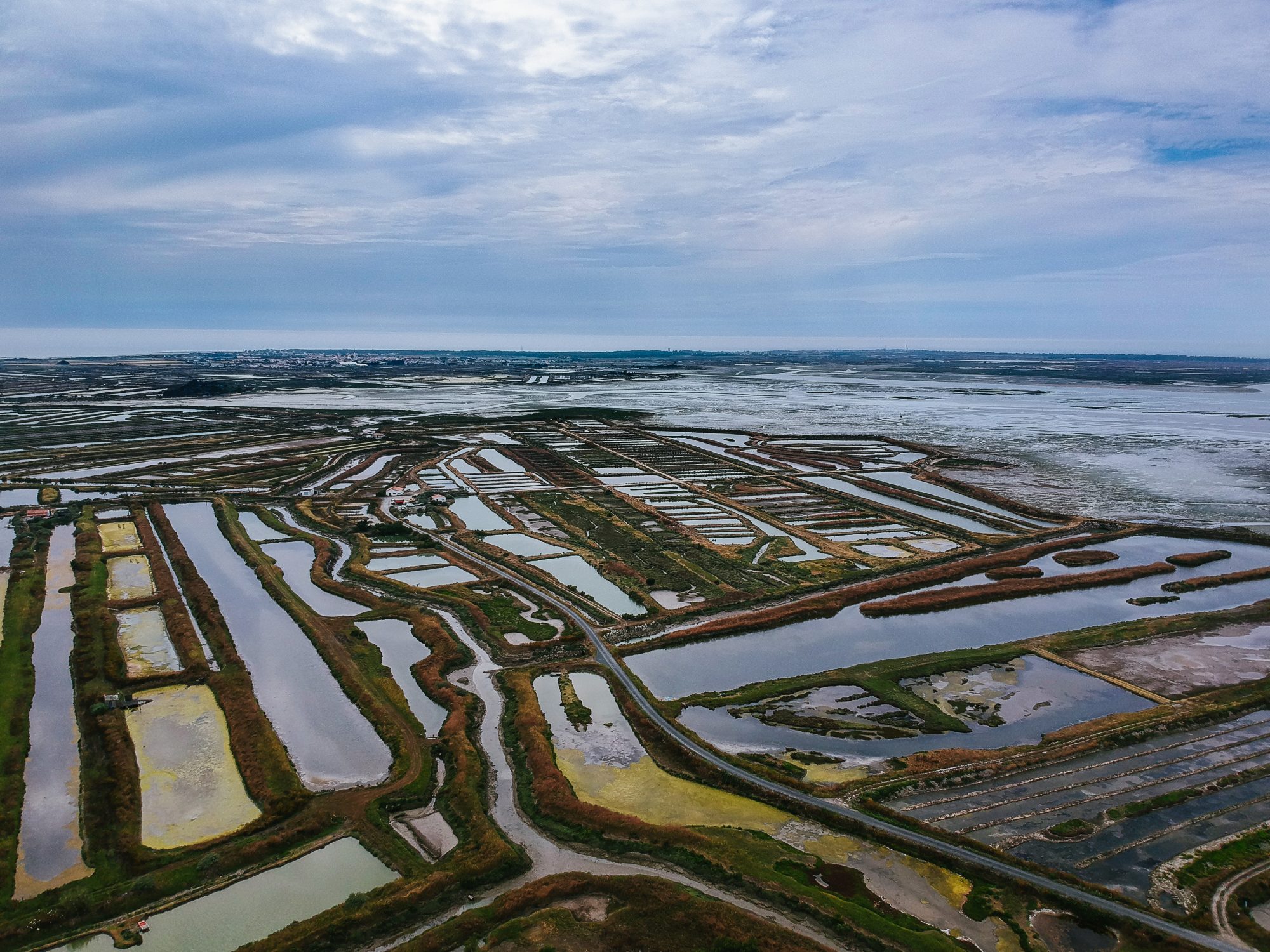 L'habitat naturel des oiseaux vu d'en haut