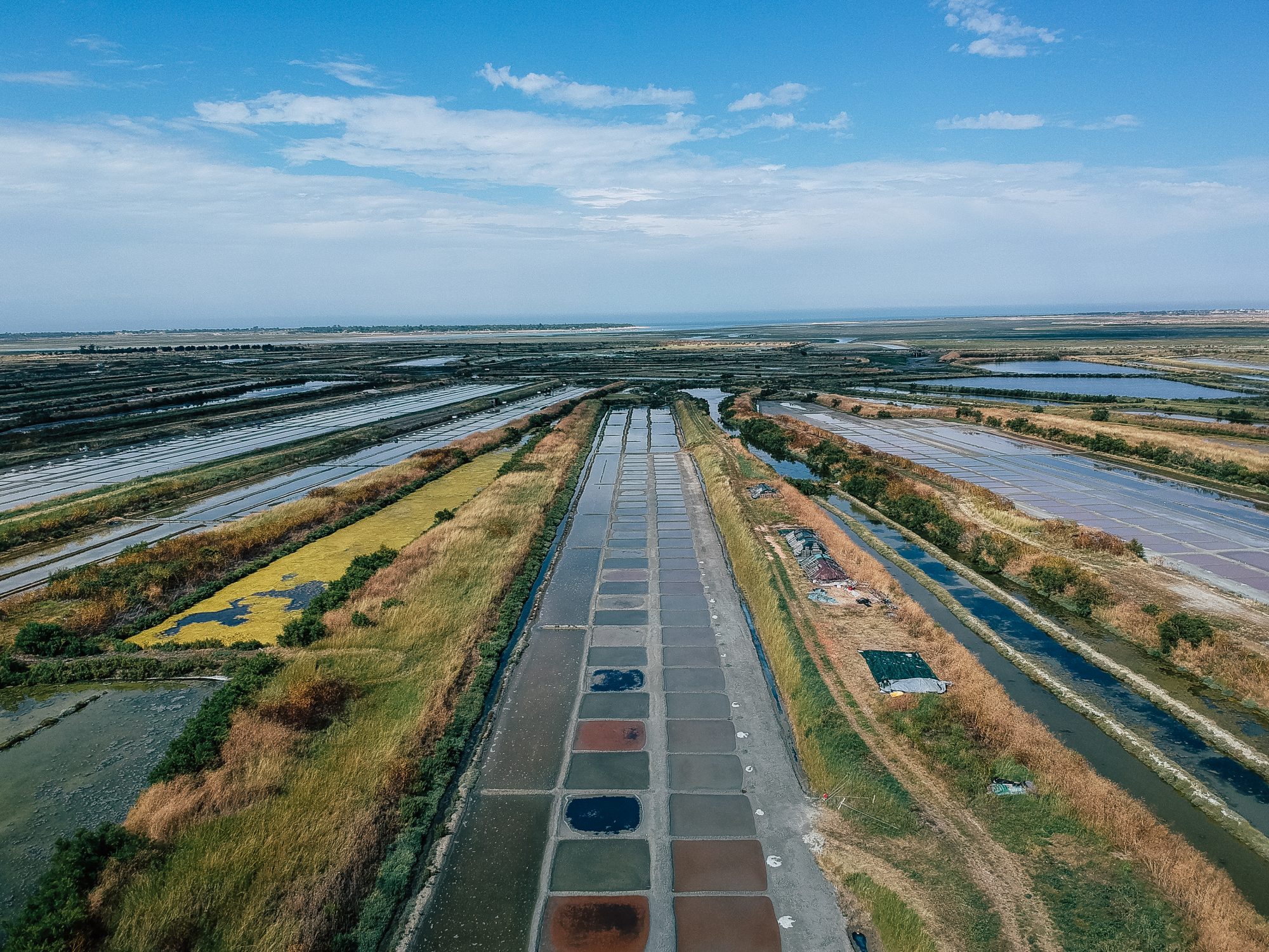 se promener dans les marais : une activité agréable sur l'ile de ré