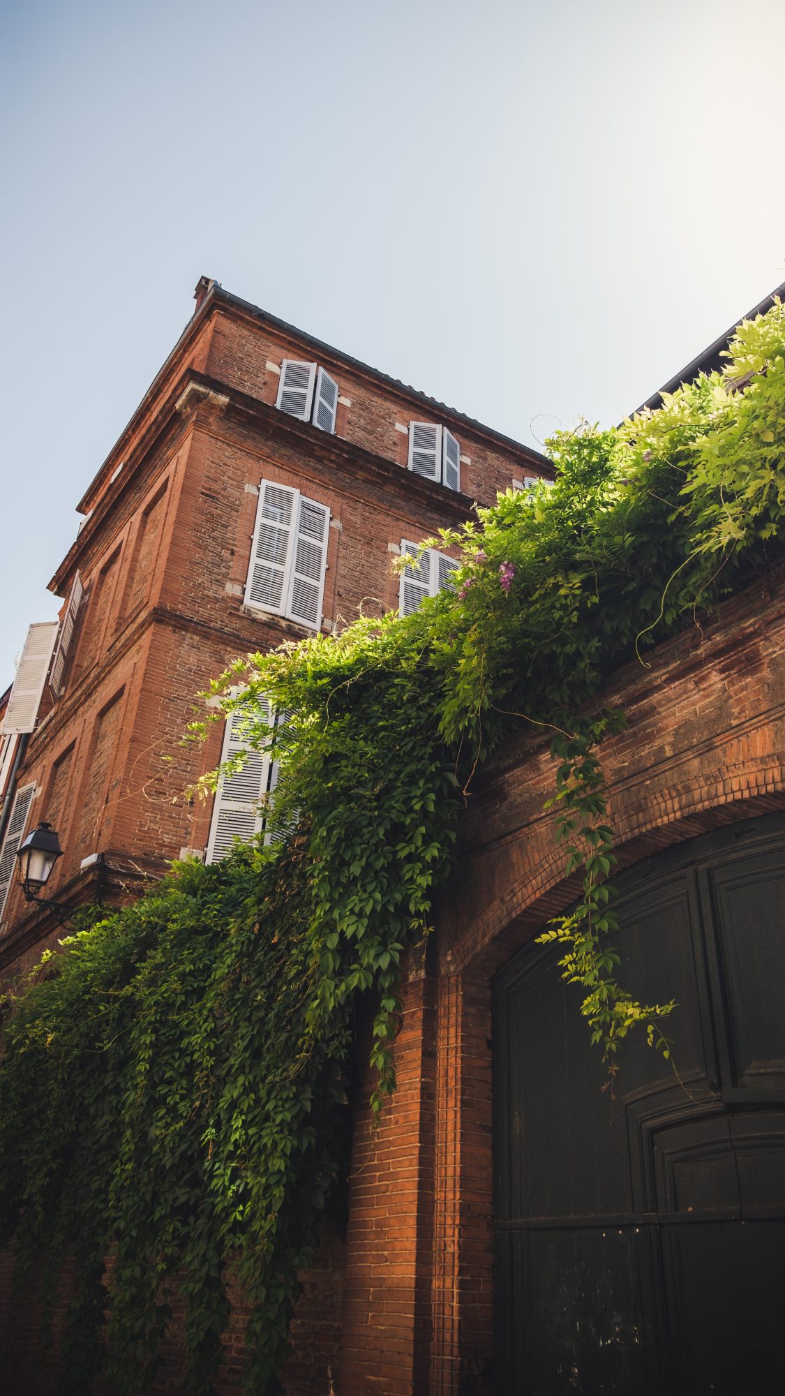 Pendant votre promenade à Toulouse, vous découvrirez de belles ruelles avec plantes grimpantes comme celle ci