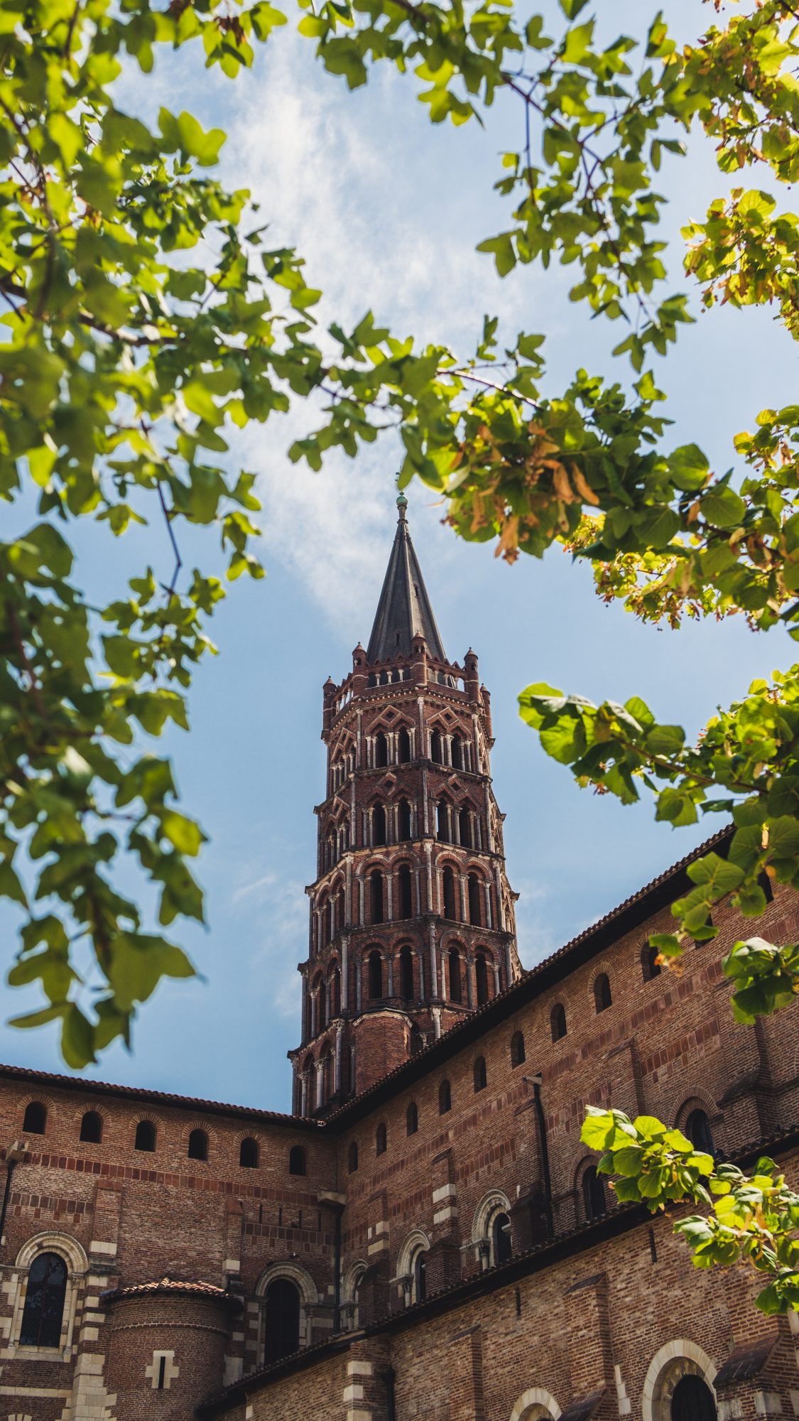Le clocher dans un écrin de verdure