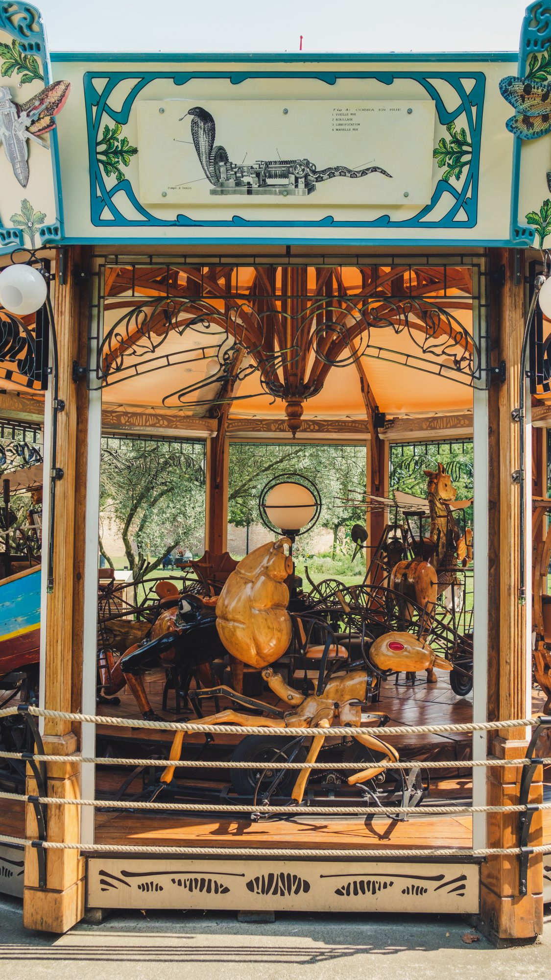 On dirait une fourmi robot