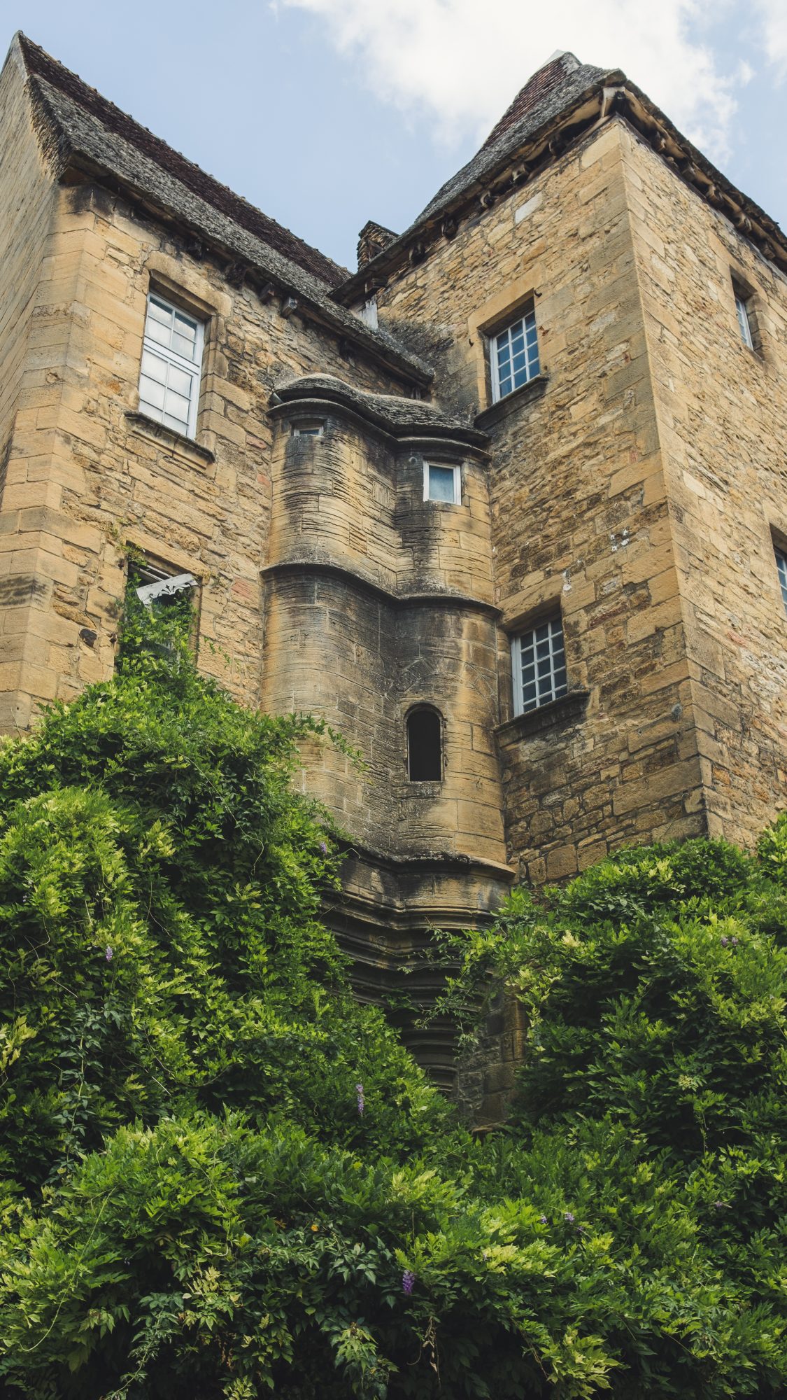 DSCF3766 Les paresseux curieux aiment se suspendre aux glycines de Sarlat