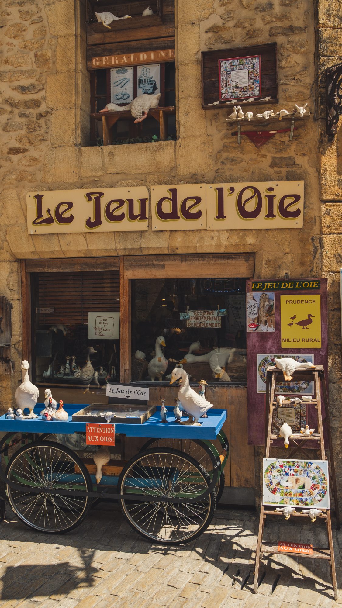 DSCF3802 toujours une histoire de canard en dordogne