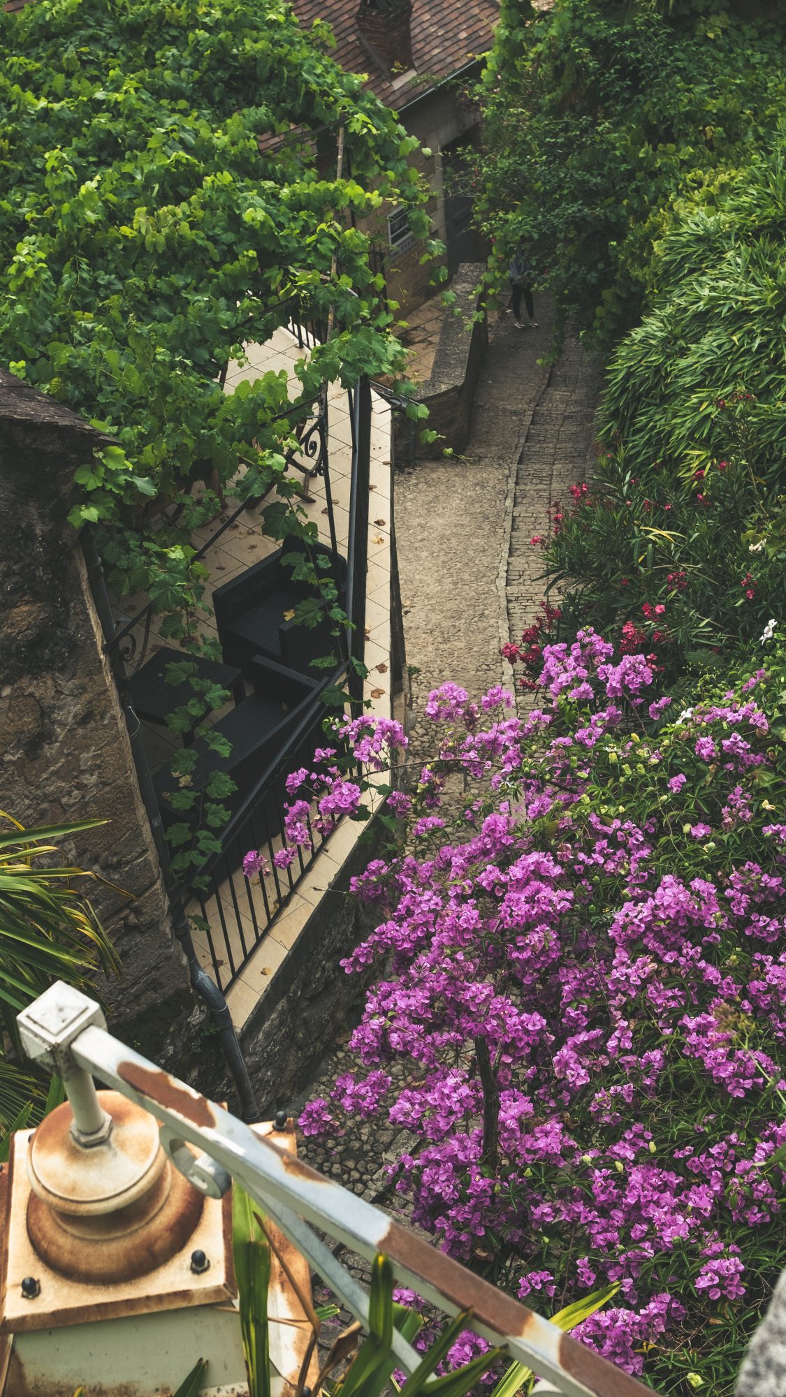 DSCF4085 végétation magnifique à la Roche Gageac