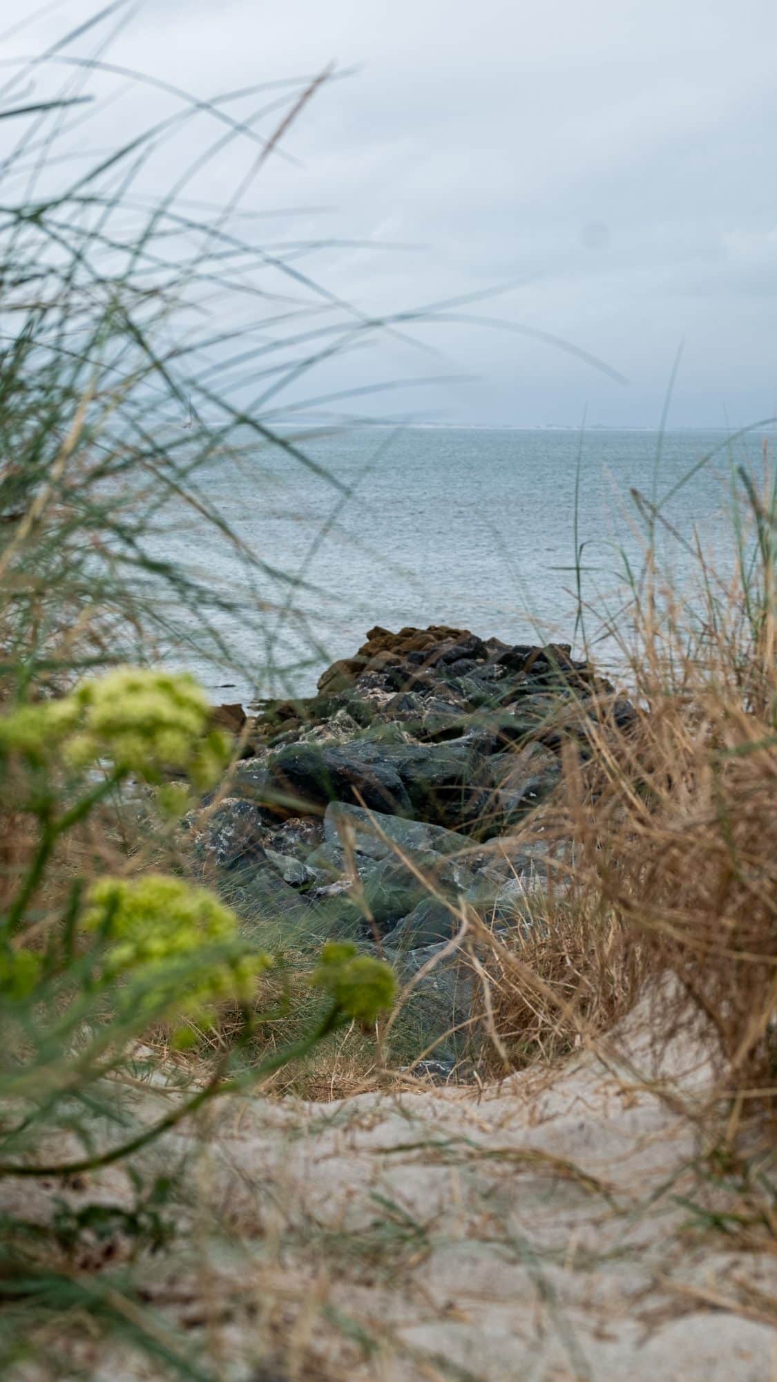 La plage : là où vous pourrez faire une activité sur l'île de Ré : la pêche à pied