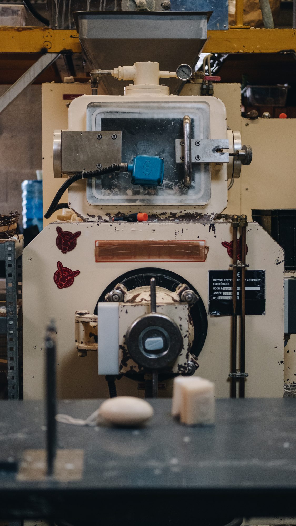 la machine à savon ! La plus grosse bestiole que vous rencontrerez lors de cette activité sur l'ile de ré